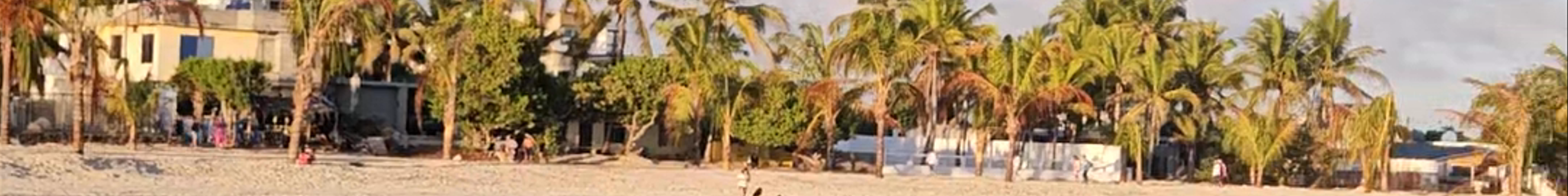 Tours & experiences in Puerto Villamil