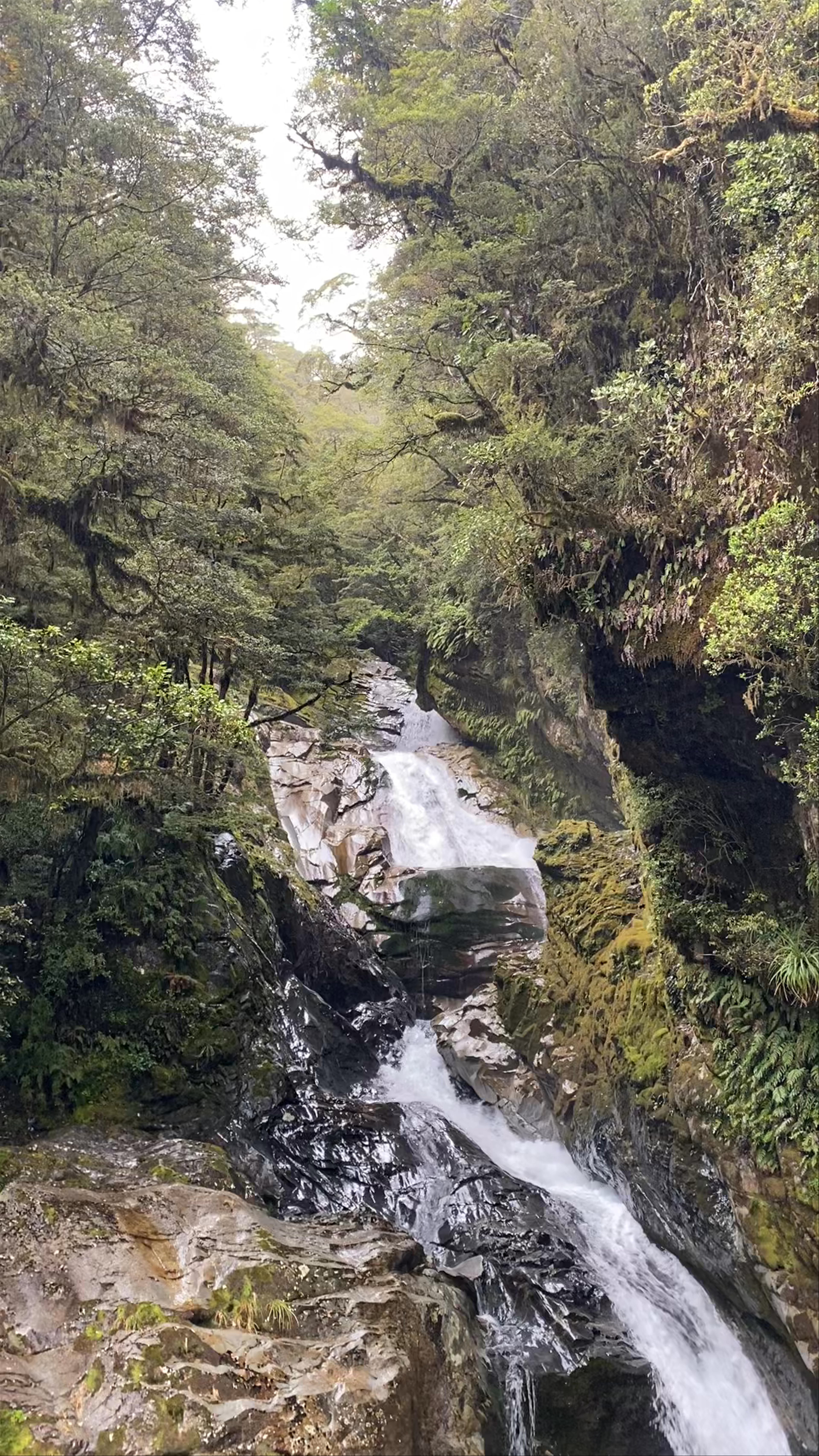 Christie Falls Waterfall on Milford Sound Highway, Fiordland National Park