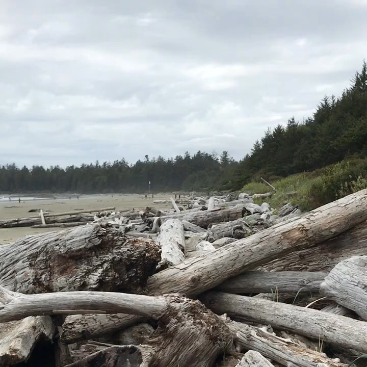Chesterman Beach - Beaches Near Me - Tofino, British Columbia