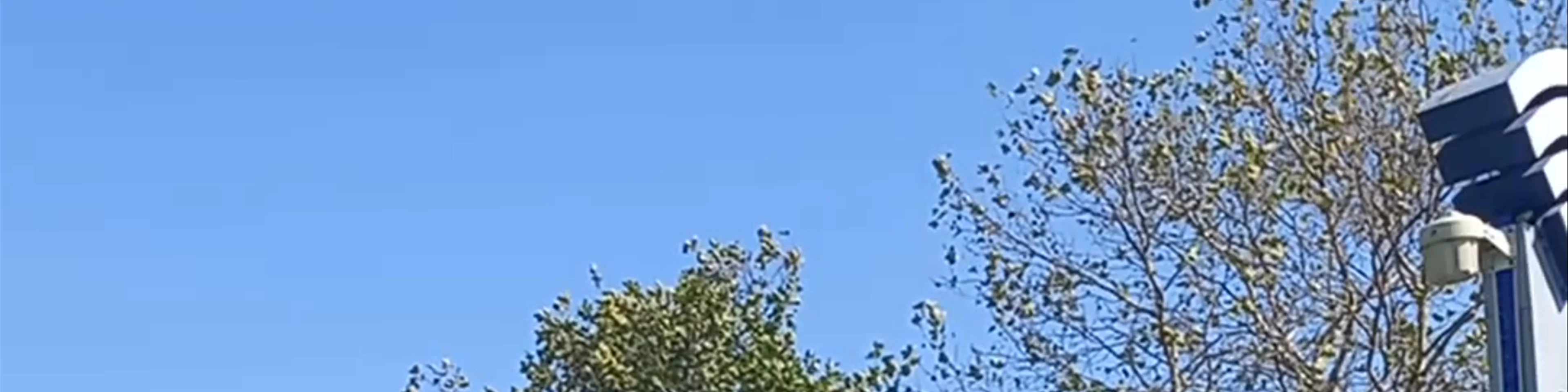 Konak