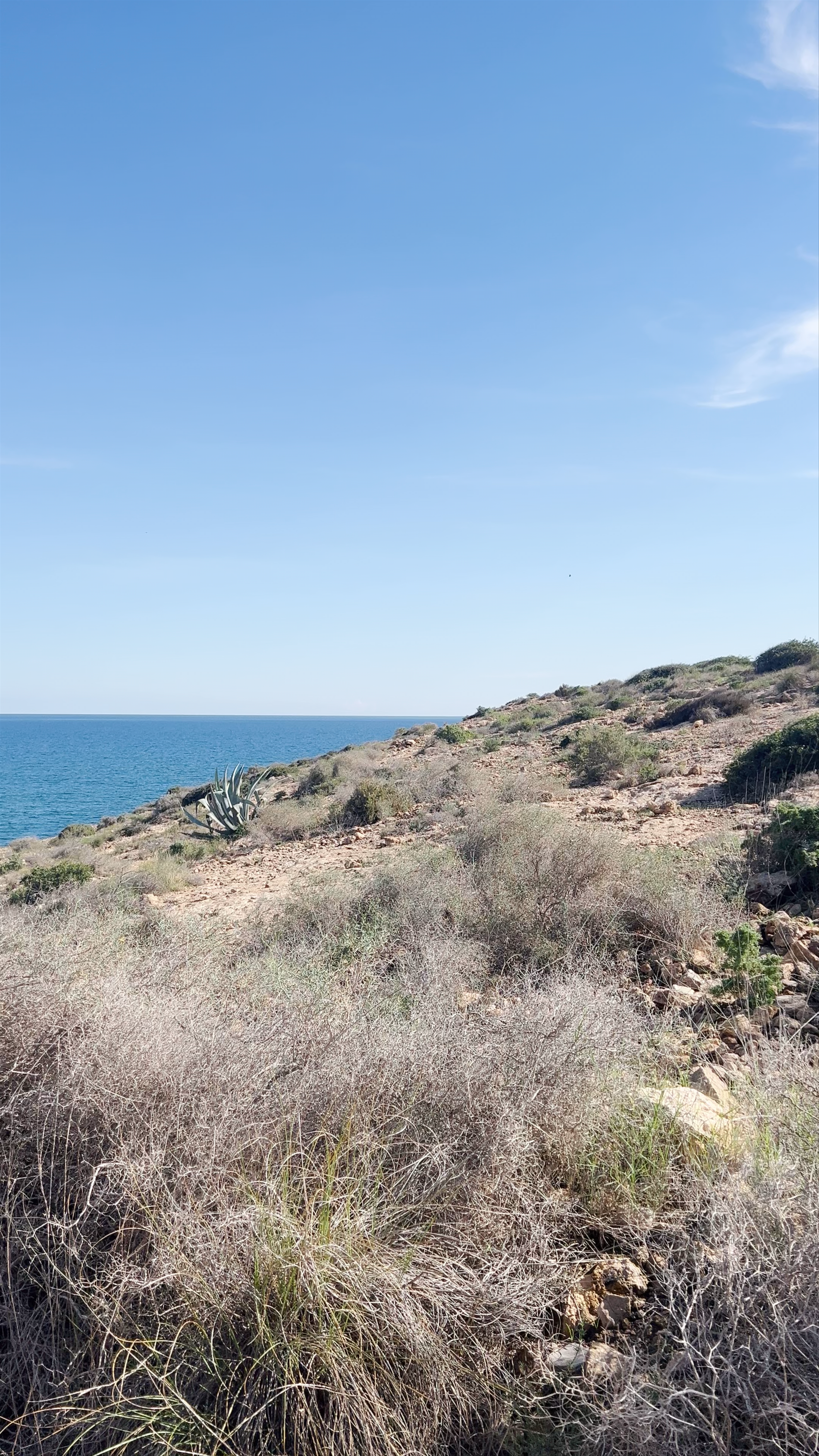 Cala Blanca
