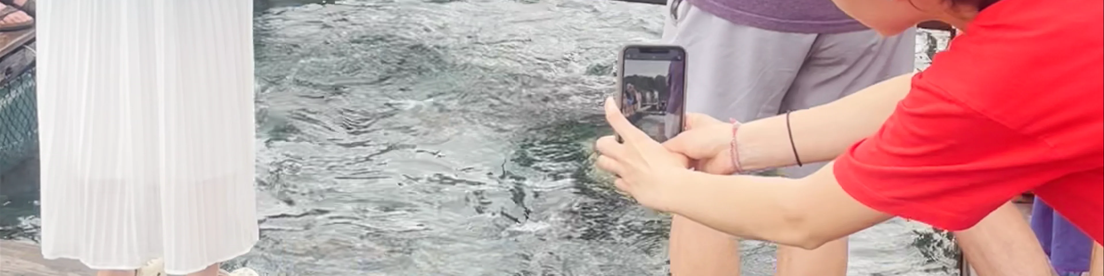 Fish Farm