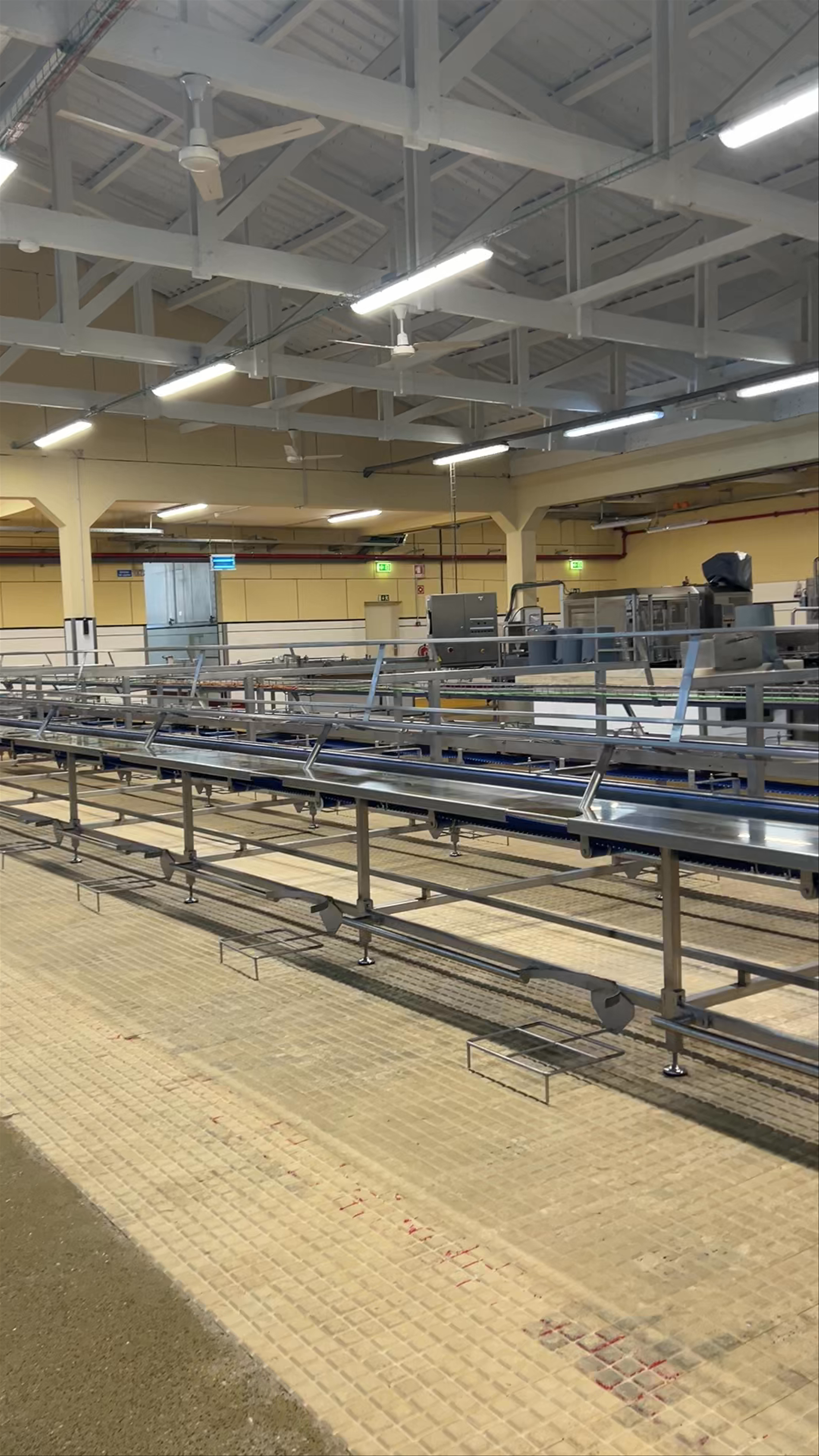 Pinhais Cannery & Co.