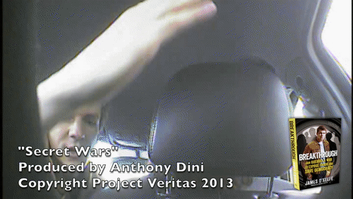 Video Thumbnail Loop