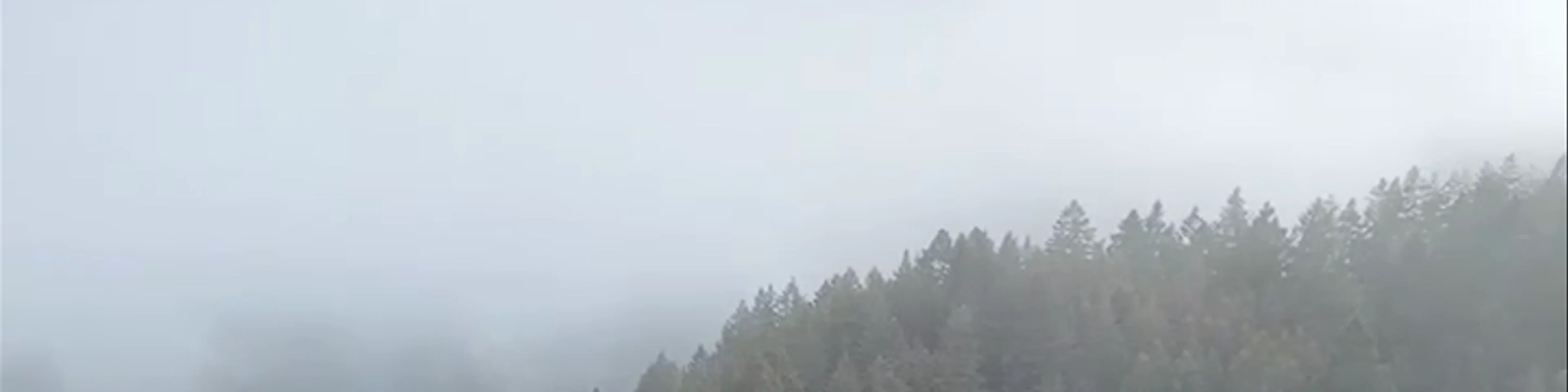 Mount Tamalpais
