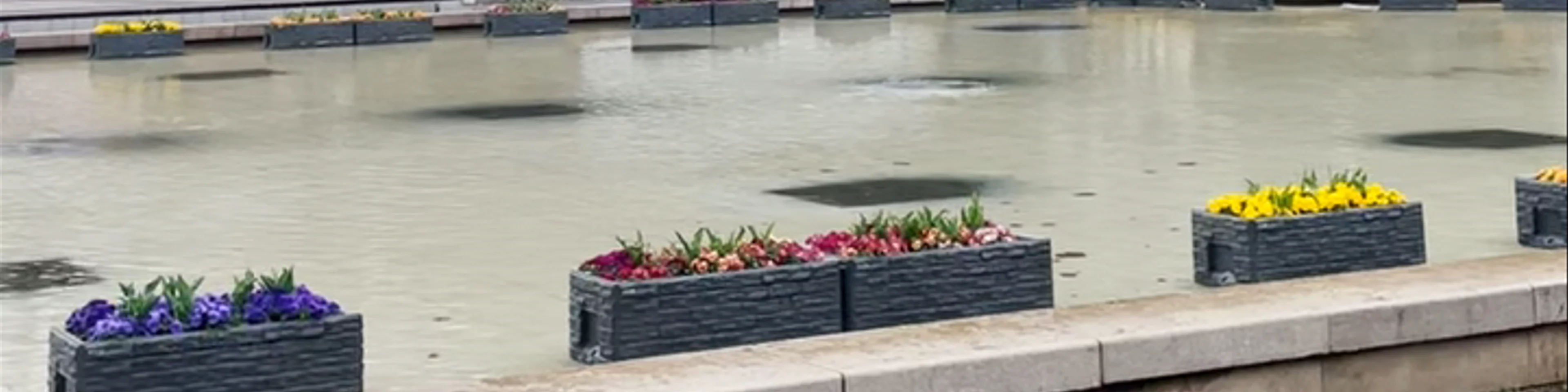 Ueno Park