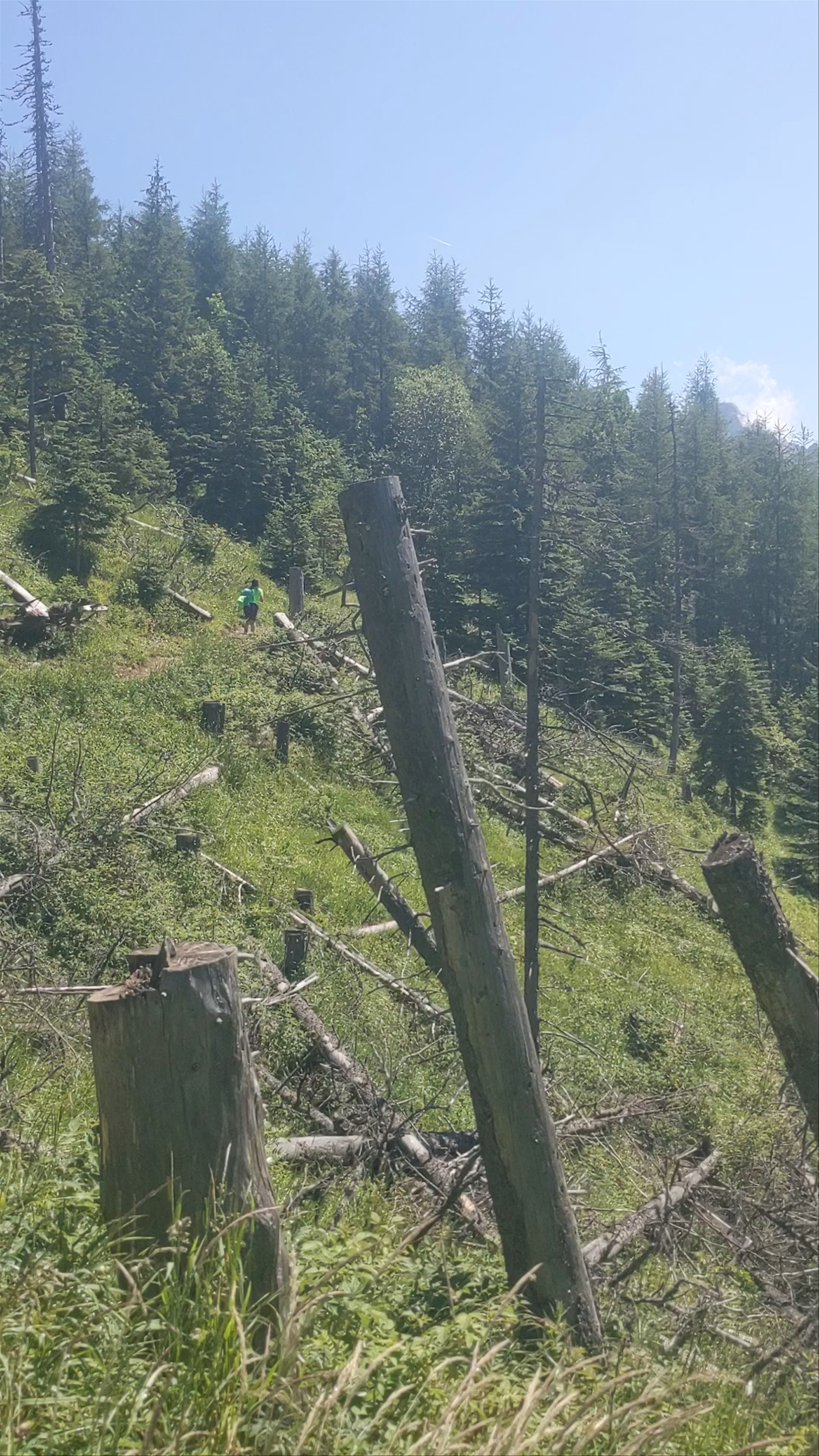Kościeliska Valley