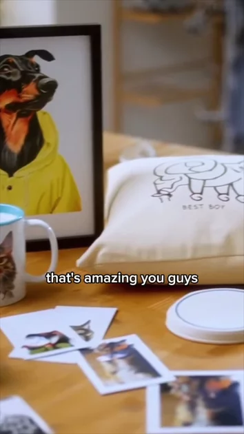 Pet Moment Reactions | Commercial