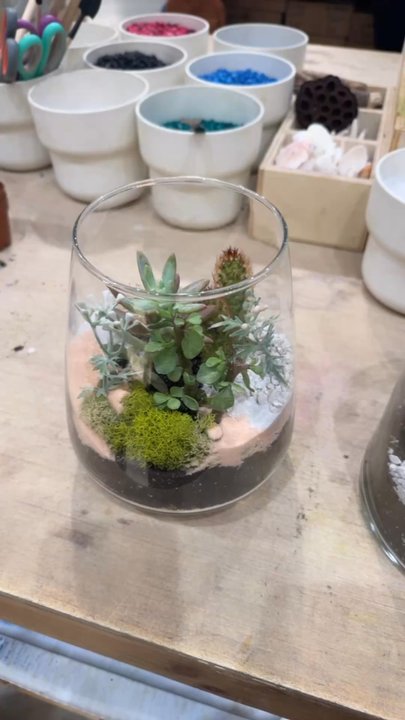 PlantHouse - Nurseries & Gardening Near Me - Richmond, Virginia