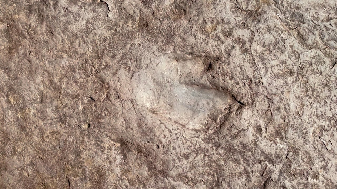 Dinosaur Footprints - 190 million year old dinosaur footprint - Parks Near Me - Holyoke, Massachusetts
