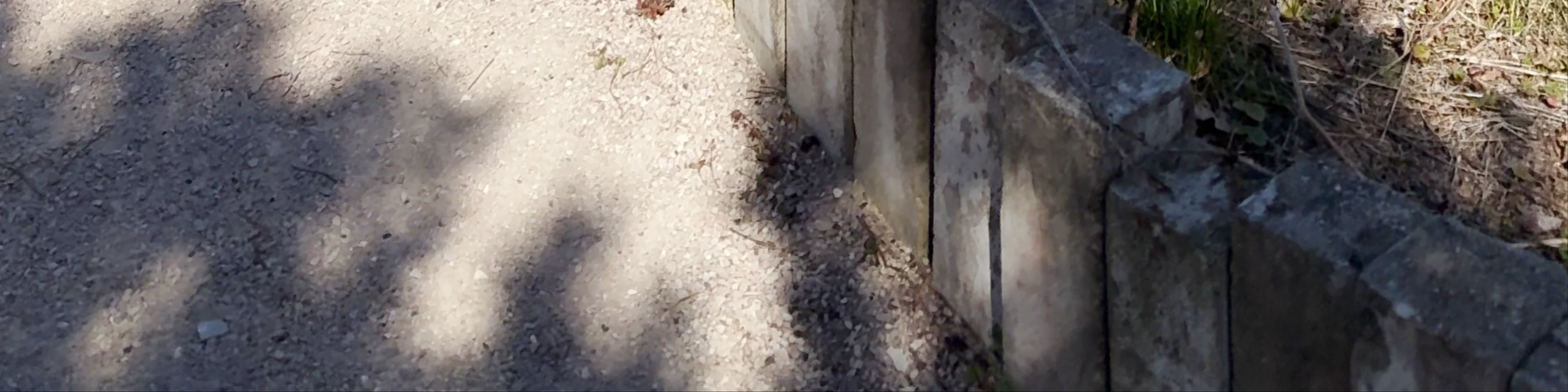Lāči skatu tornis