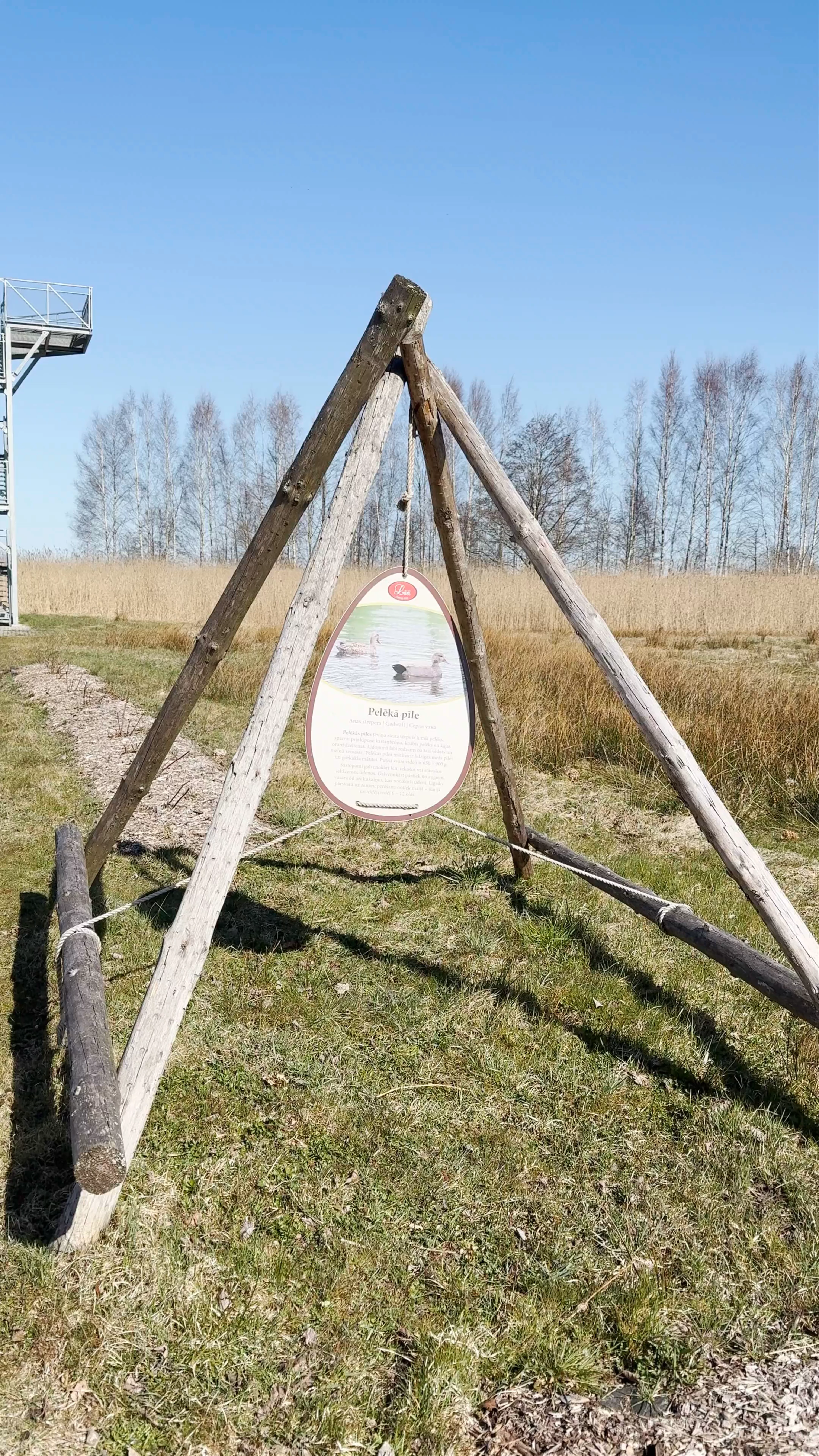 Lāči skatu tornis, Babīte parish, Mārupe Municipality, Latvia
