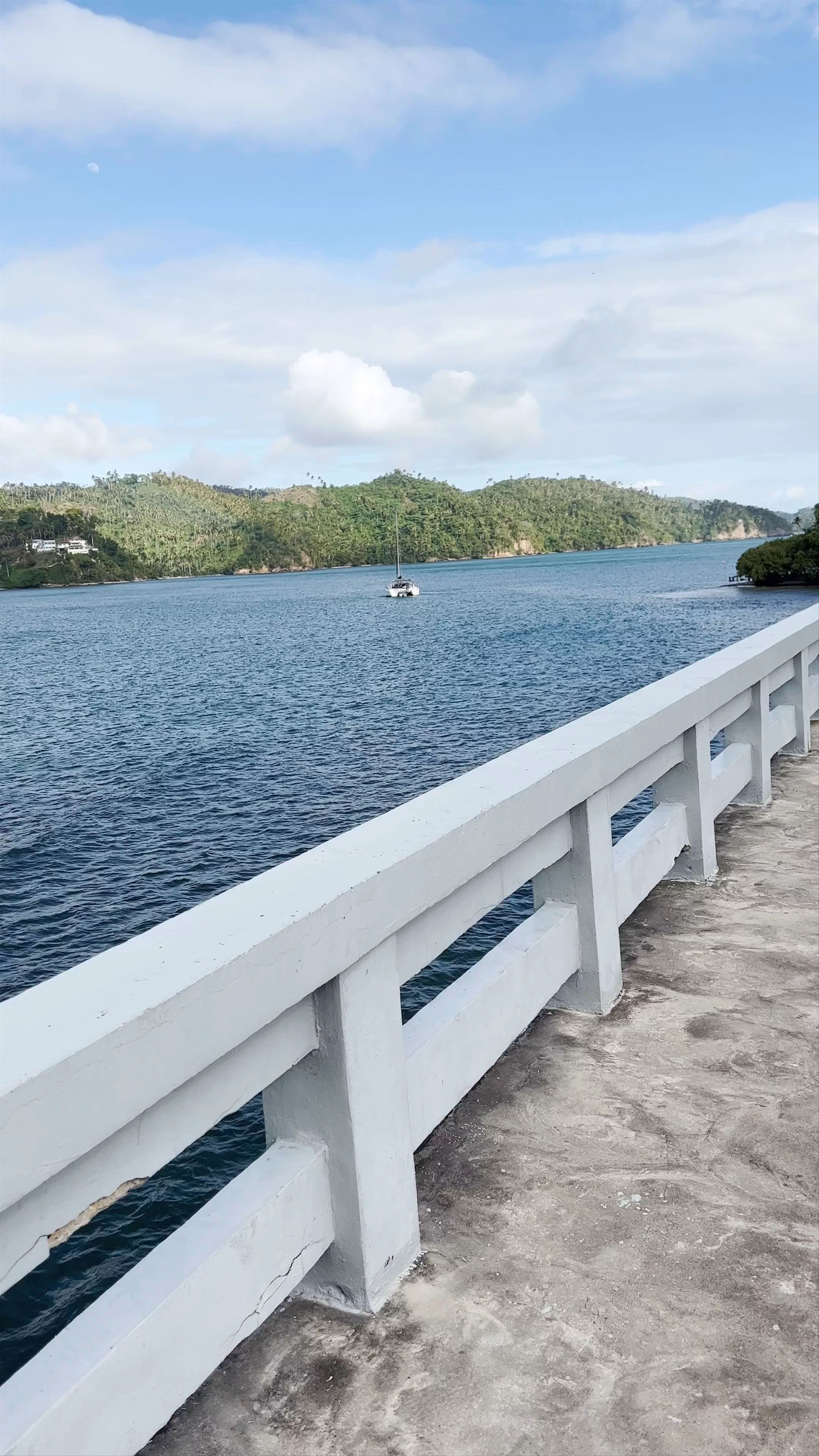 Puente Samaná, Avenida La Marina