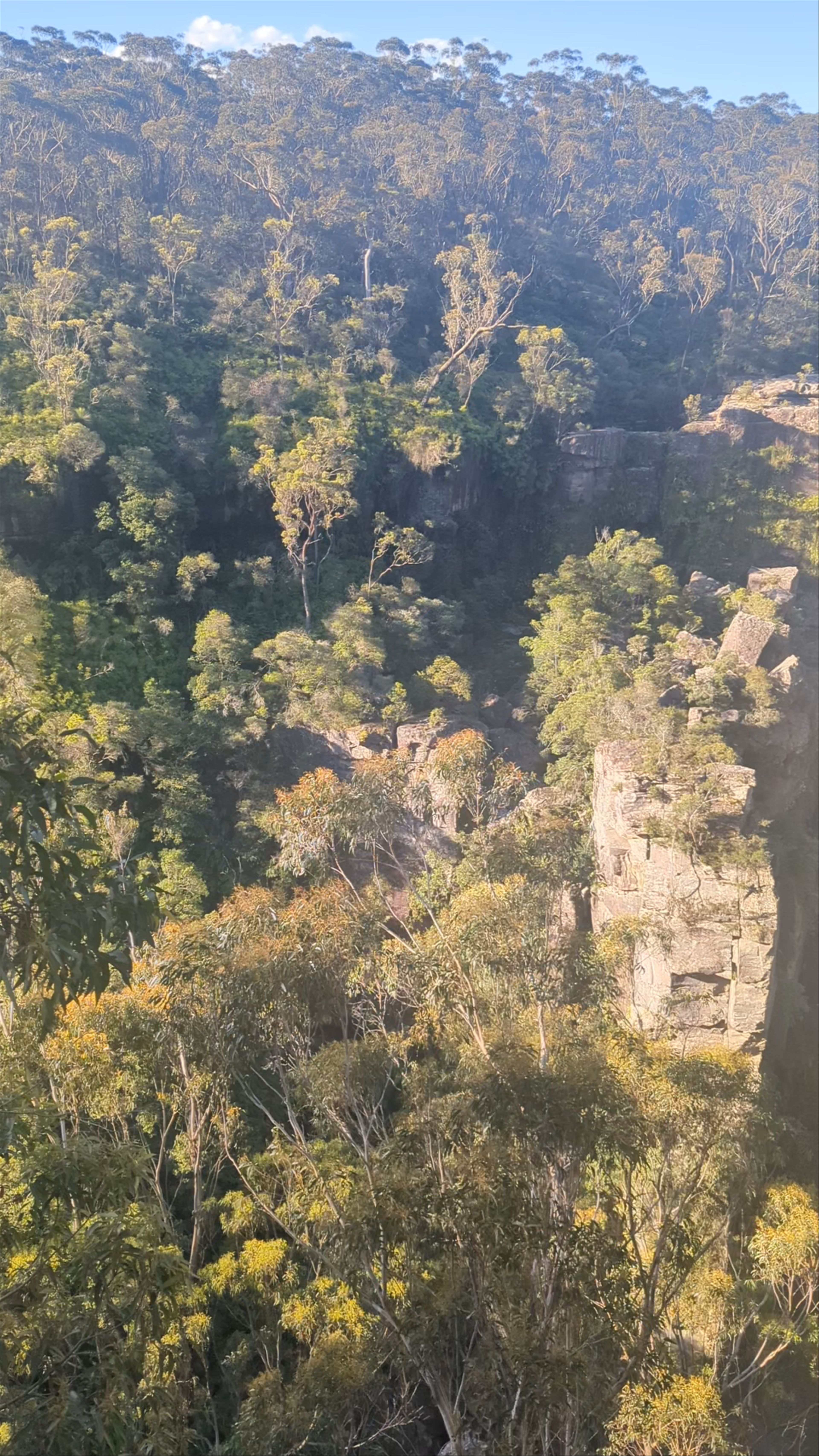 Carrington Falls Lookout