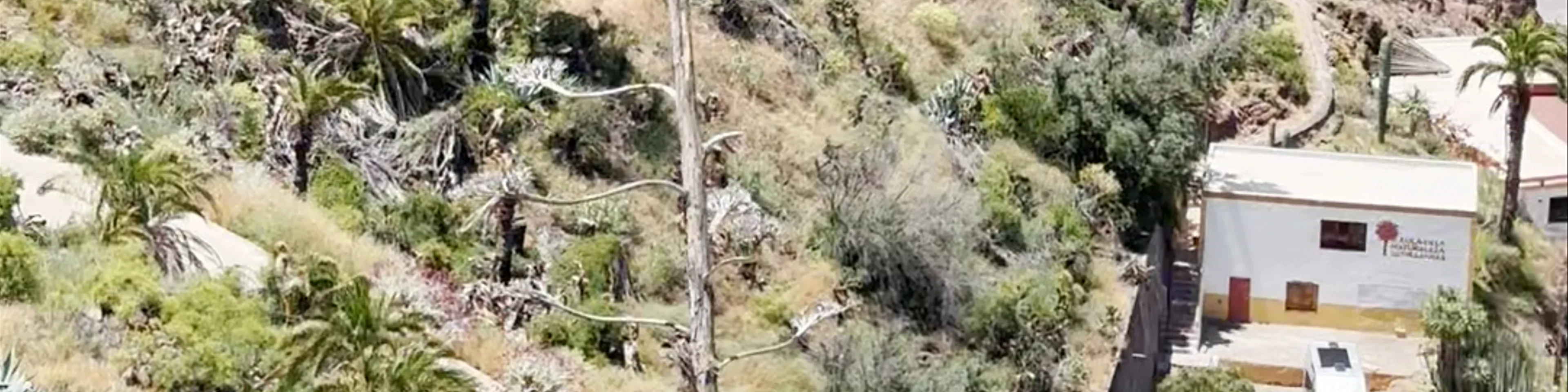Aula En La Naturaleza Las Tirajanas