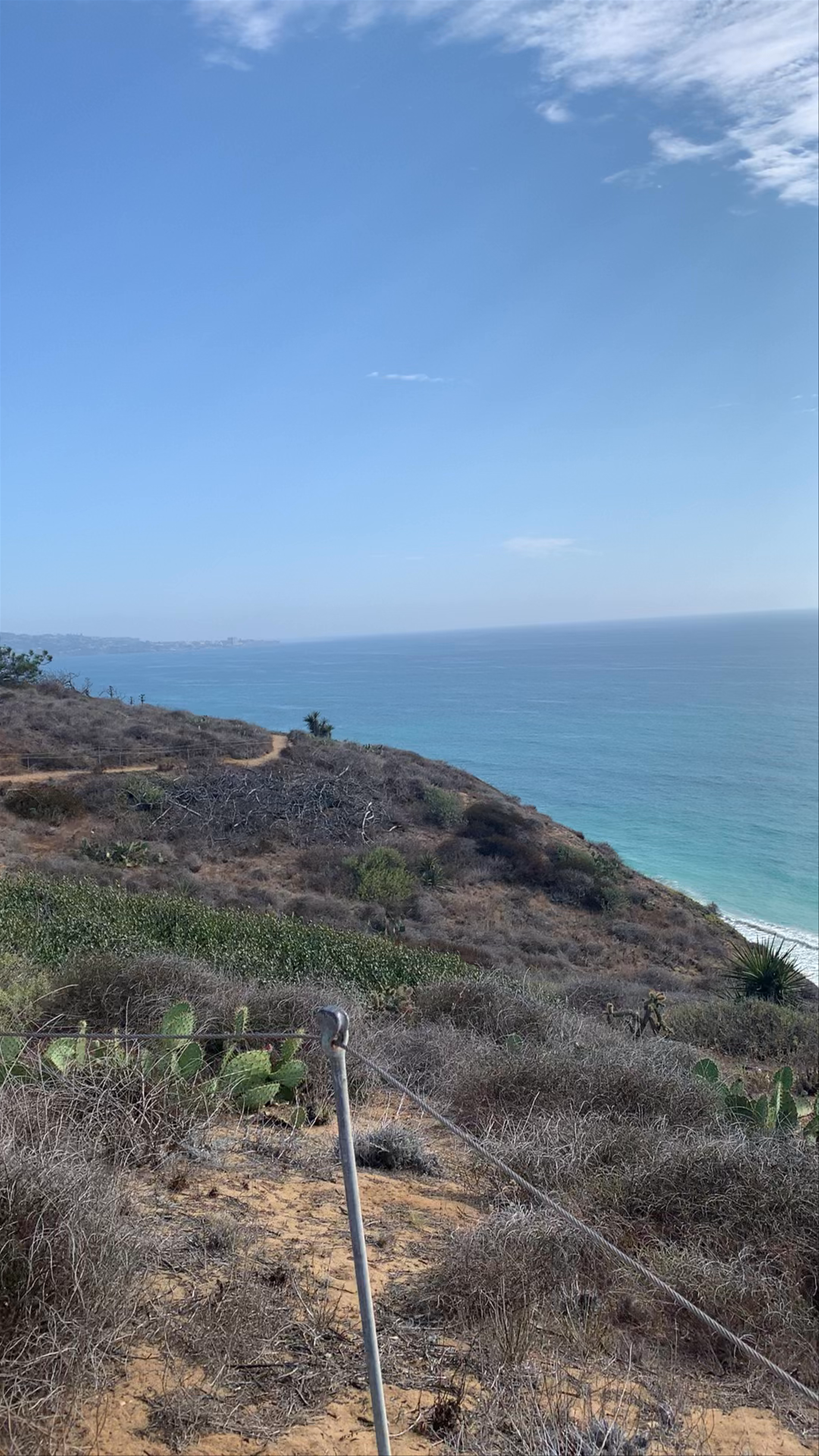 Torrey Pines Coastal Hike: Ocean Views and Nature Escape in San Diego