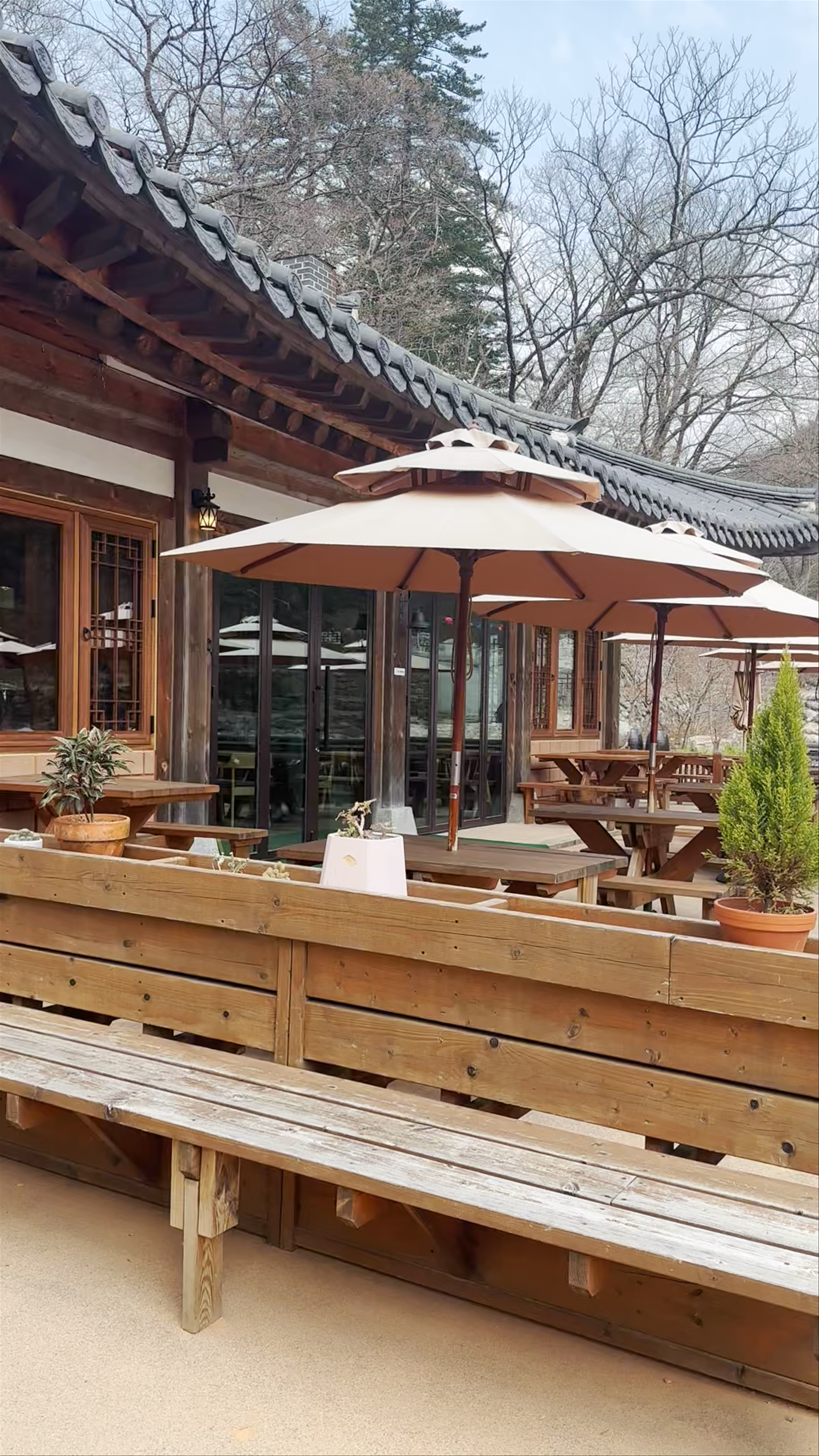 Peaceful Spring Afternoons at Baekdamsa Temple, Gangwon-do