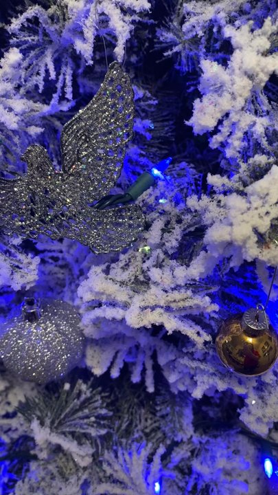 Sid's Christmas Trees - Glitter up close - Christmas Trees Near Me - Clovis, California