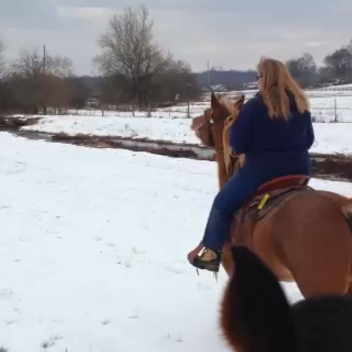The JBIT Ranch - Riding in the snow - Horseback Riding Near Me - Berryville, Virginia