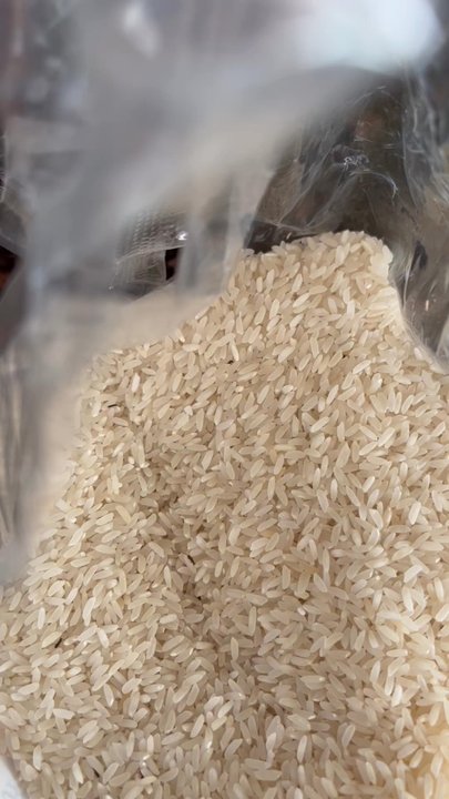 Patel Brothers - Disgusting bugs in Patel bros rice bags - Grocery Near Me - Bensalem, Pennsylvania