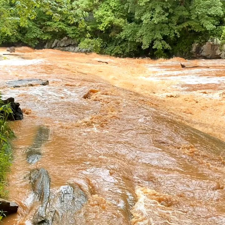 Poole's Mill Park - Parks Near Me - Ball Ground, Georgia