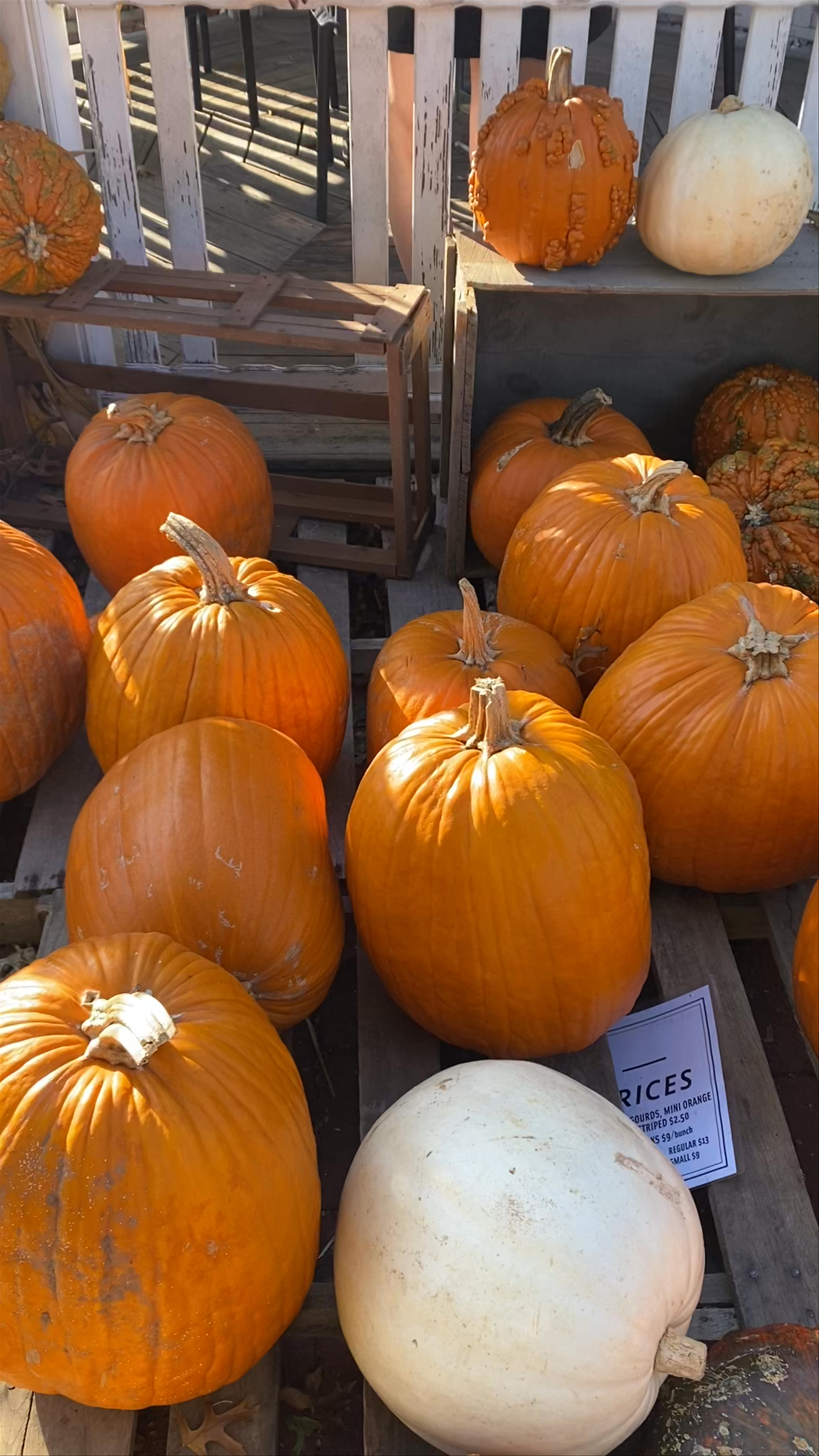 Heirloom Market at Comstock Ferre