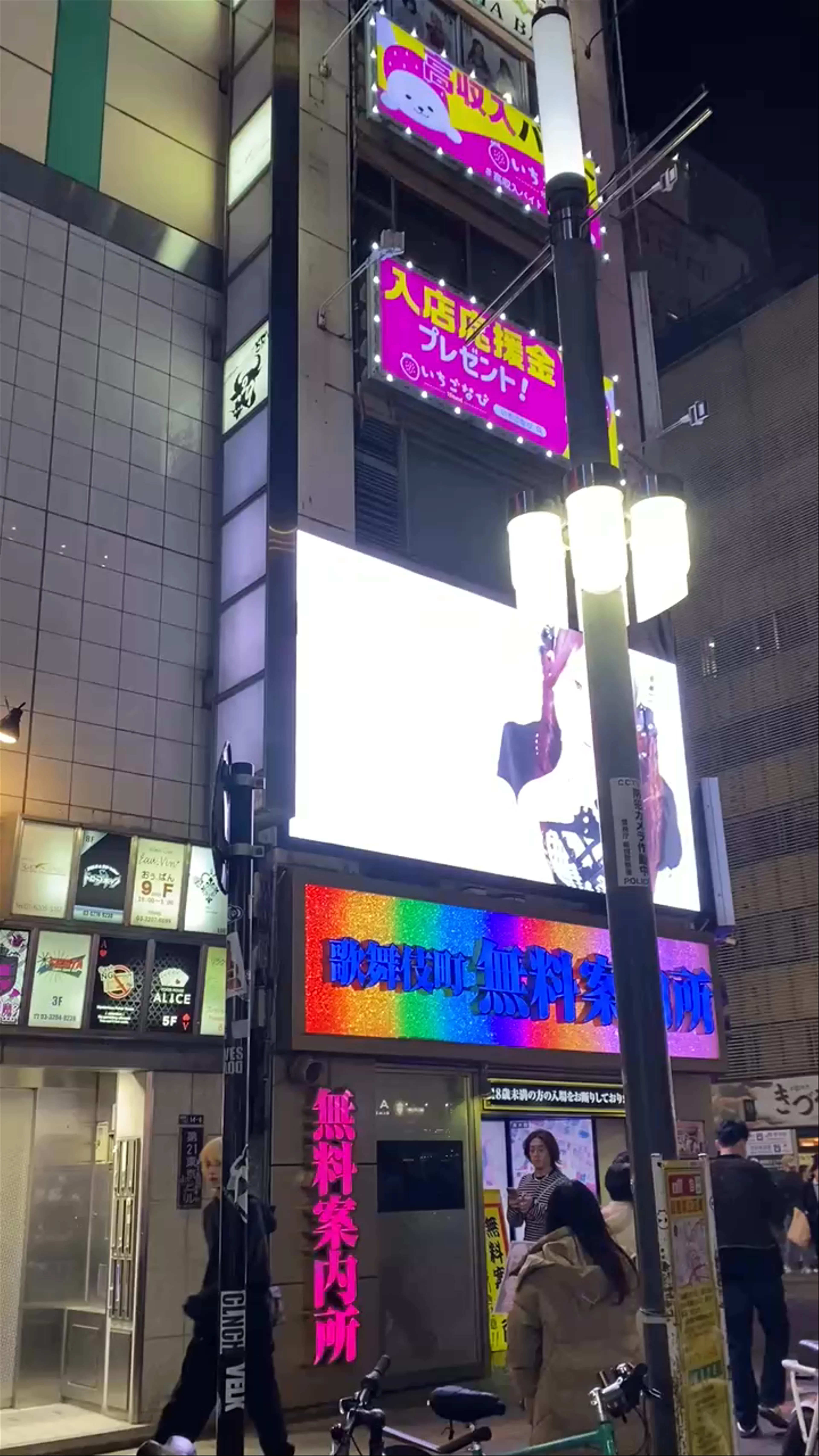 Kabukicho Theater, Shinjuku City, Tokyo