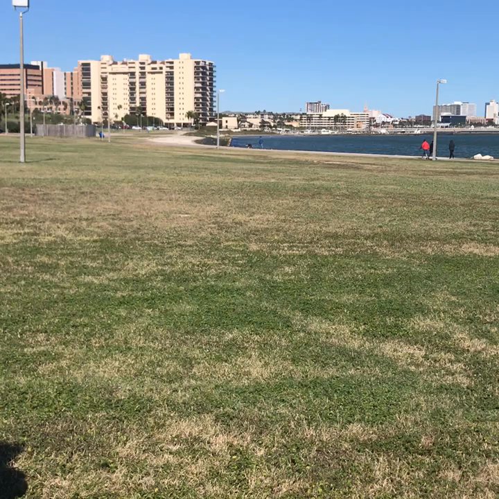 Cole Park - Skate Parks Near Me - Corpus Christi, Texas