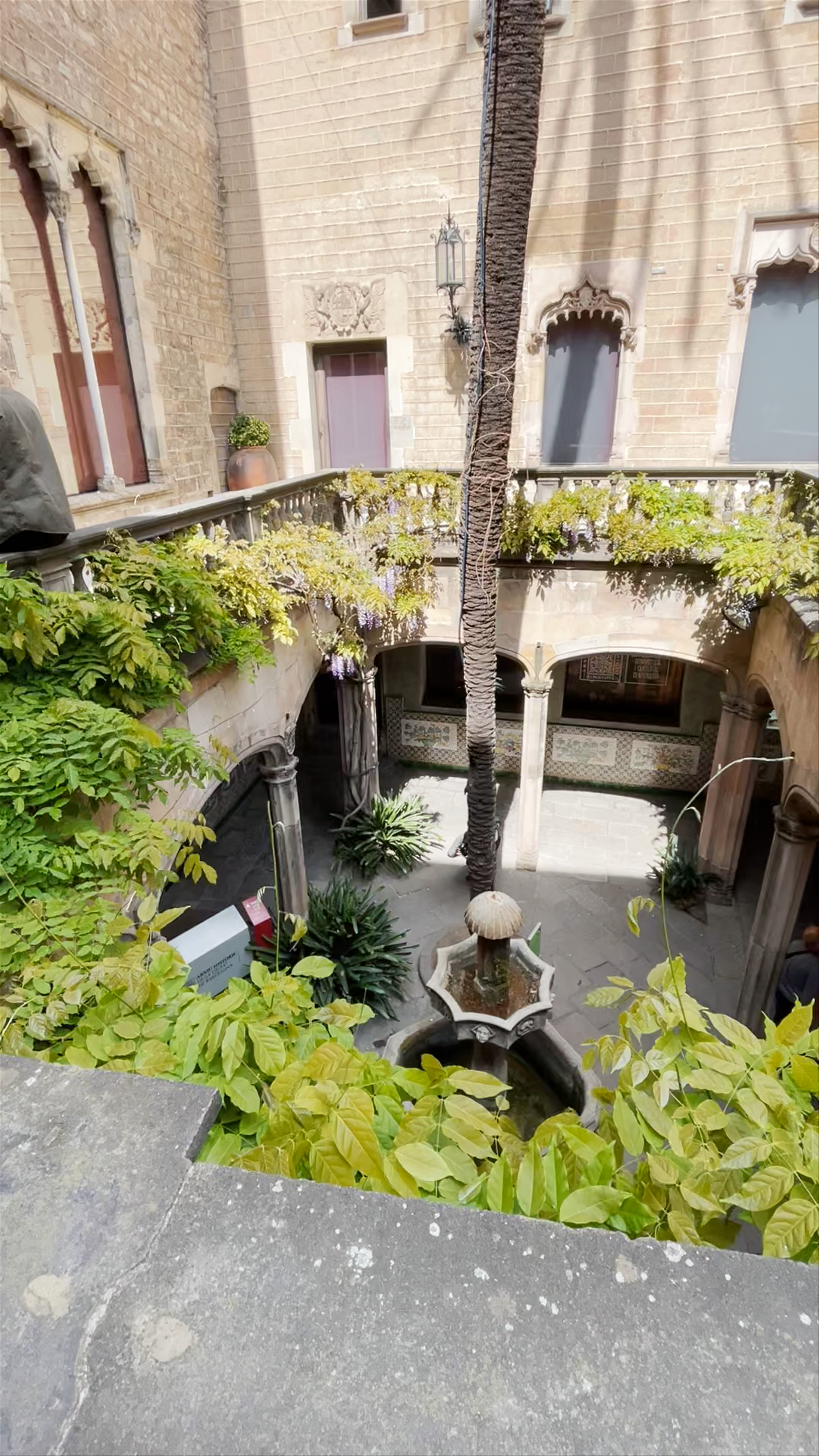 Discover the Hidden Courtyards of Barcelona's Gothic Quarter