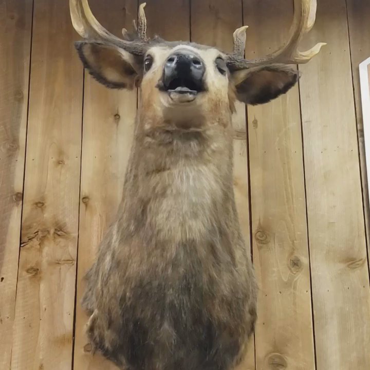 Bass Pro Shop - Outdoor Gear Near Me - Glendale, Arizona