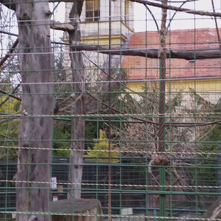 Zoo Chleby - Shopping Near Me - Bobnice, ST