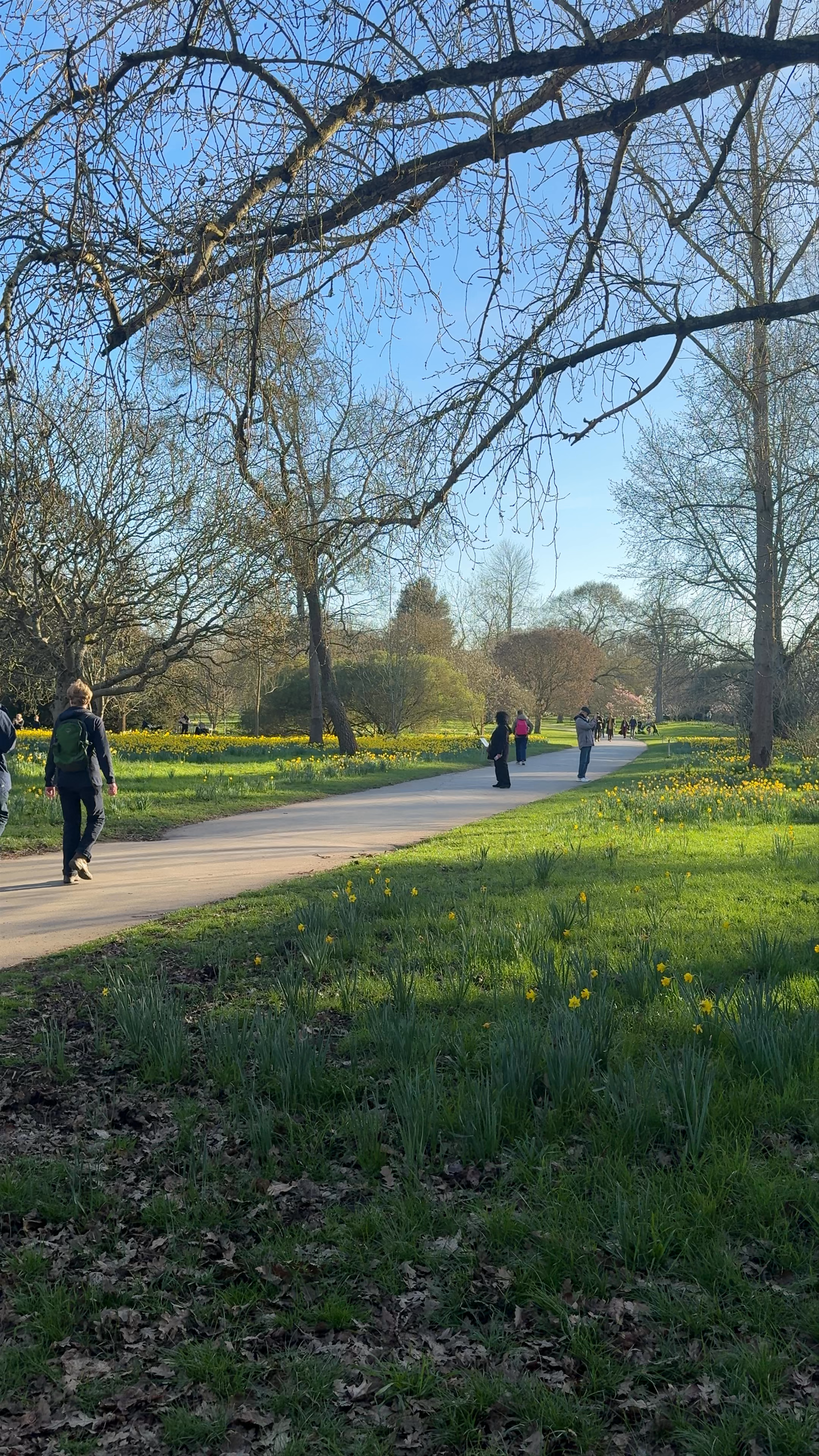 Kew Gardens