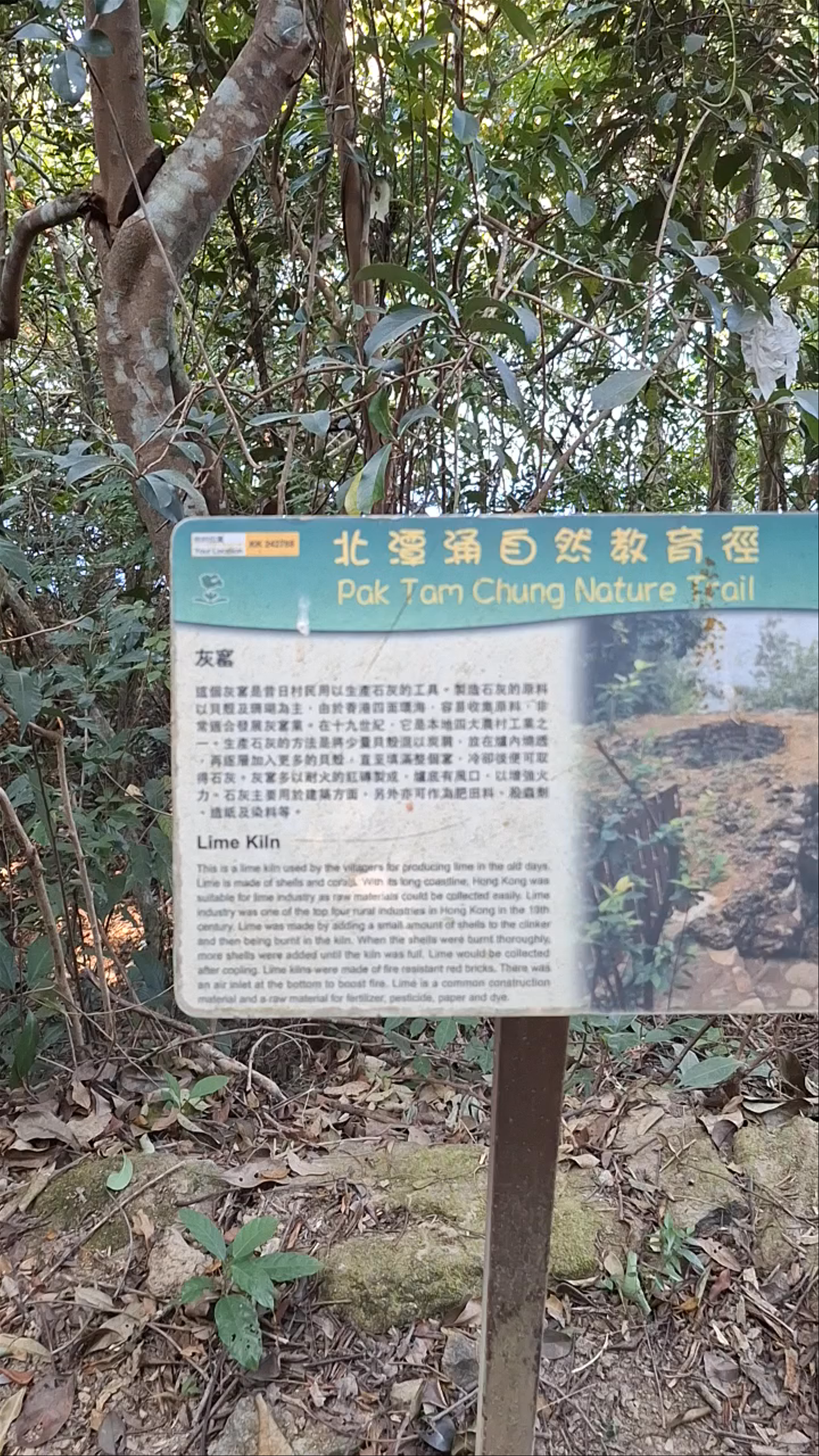 Pak Tam Chung Nature Trail