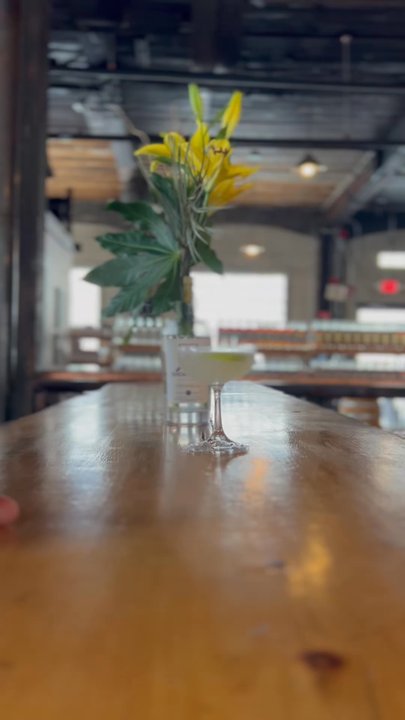 Short Path Distillery - Winter gimlet - Distilleries Near Me - Everett, Massachusetts