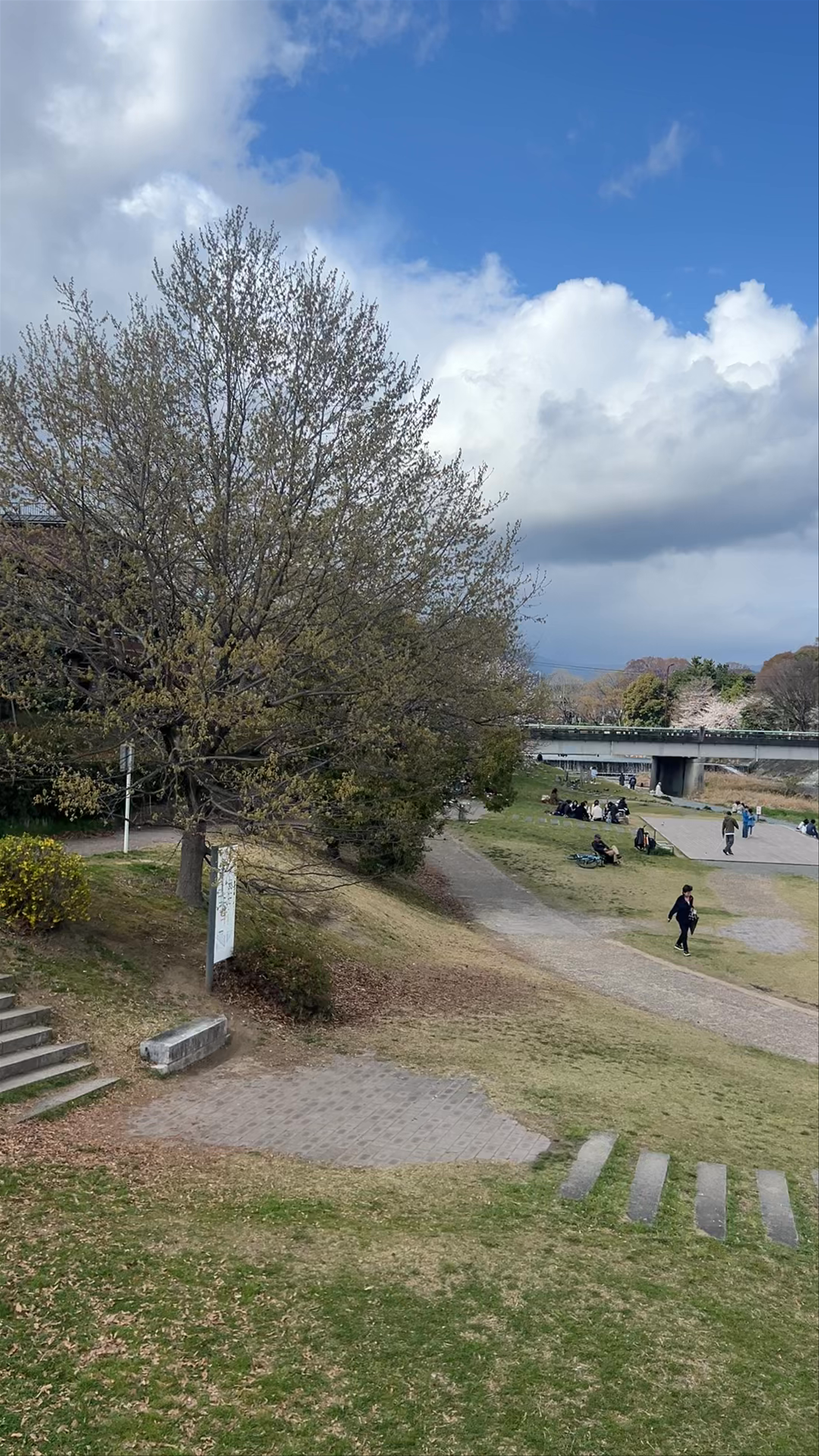 Kamogawa Park