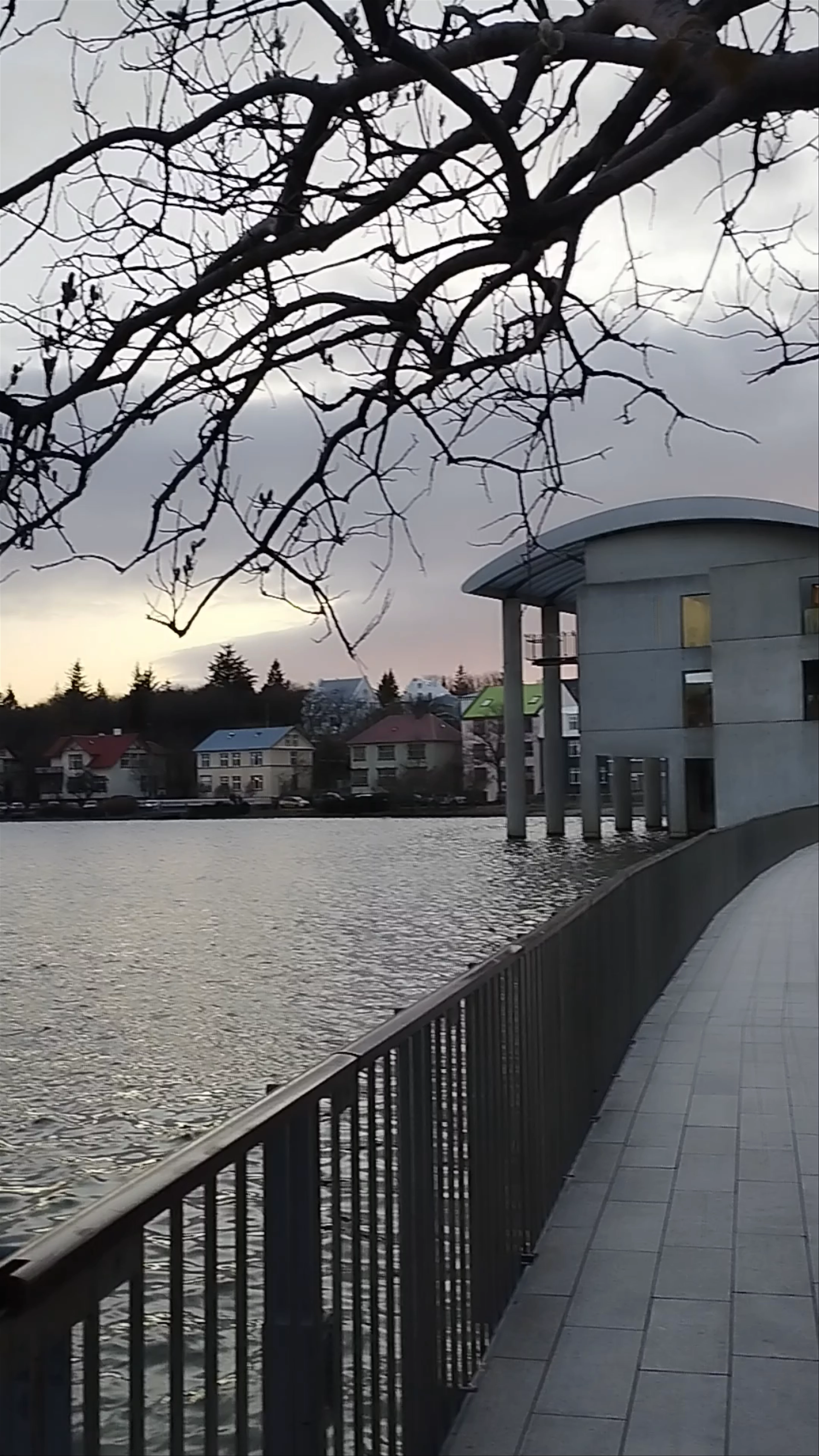 Tjörnin Rocks