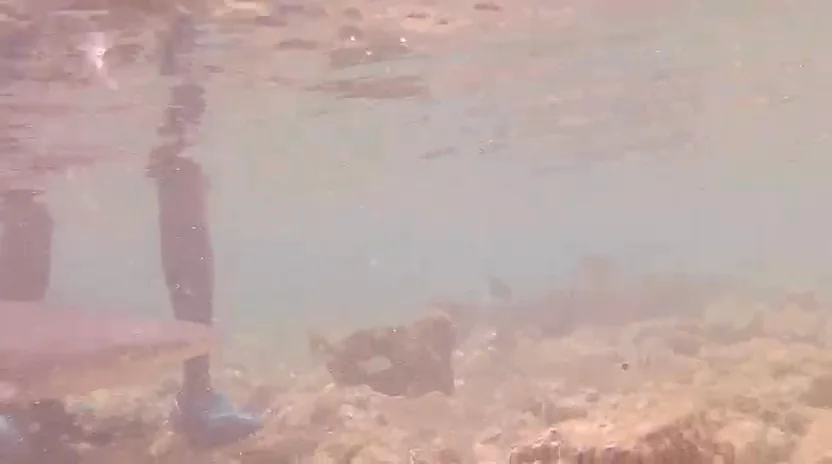 Video 15 · Noelia · Cabo Verde Beach Life: la Isla de Sal