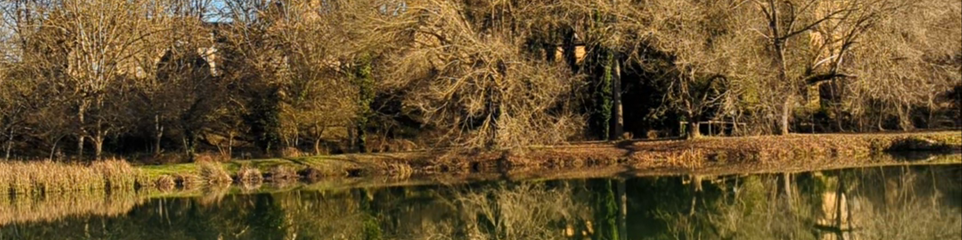 Occitanie