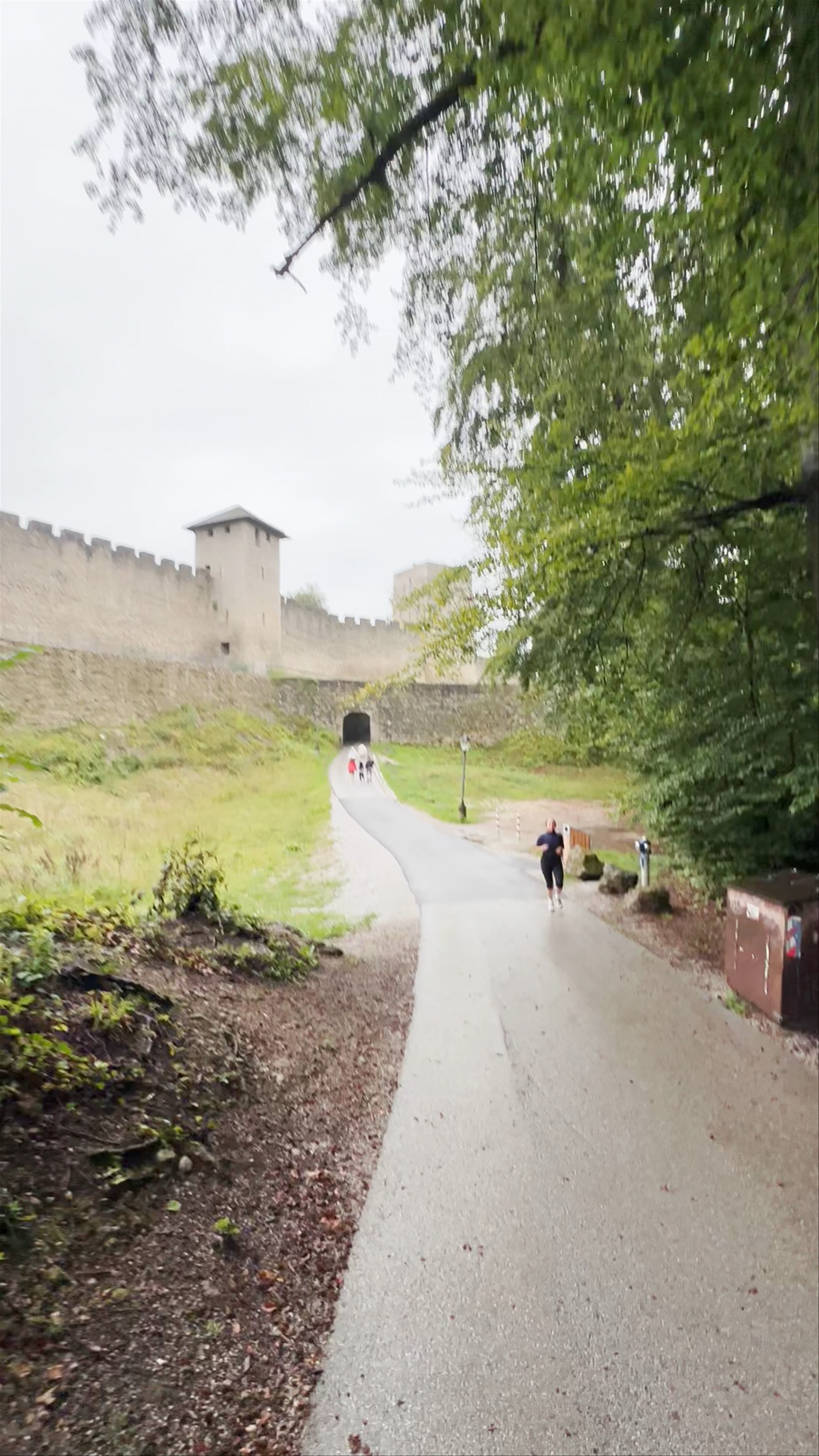 Bürgerwehr Mönchsberg, Mönchsberg