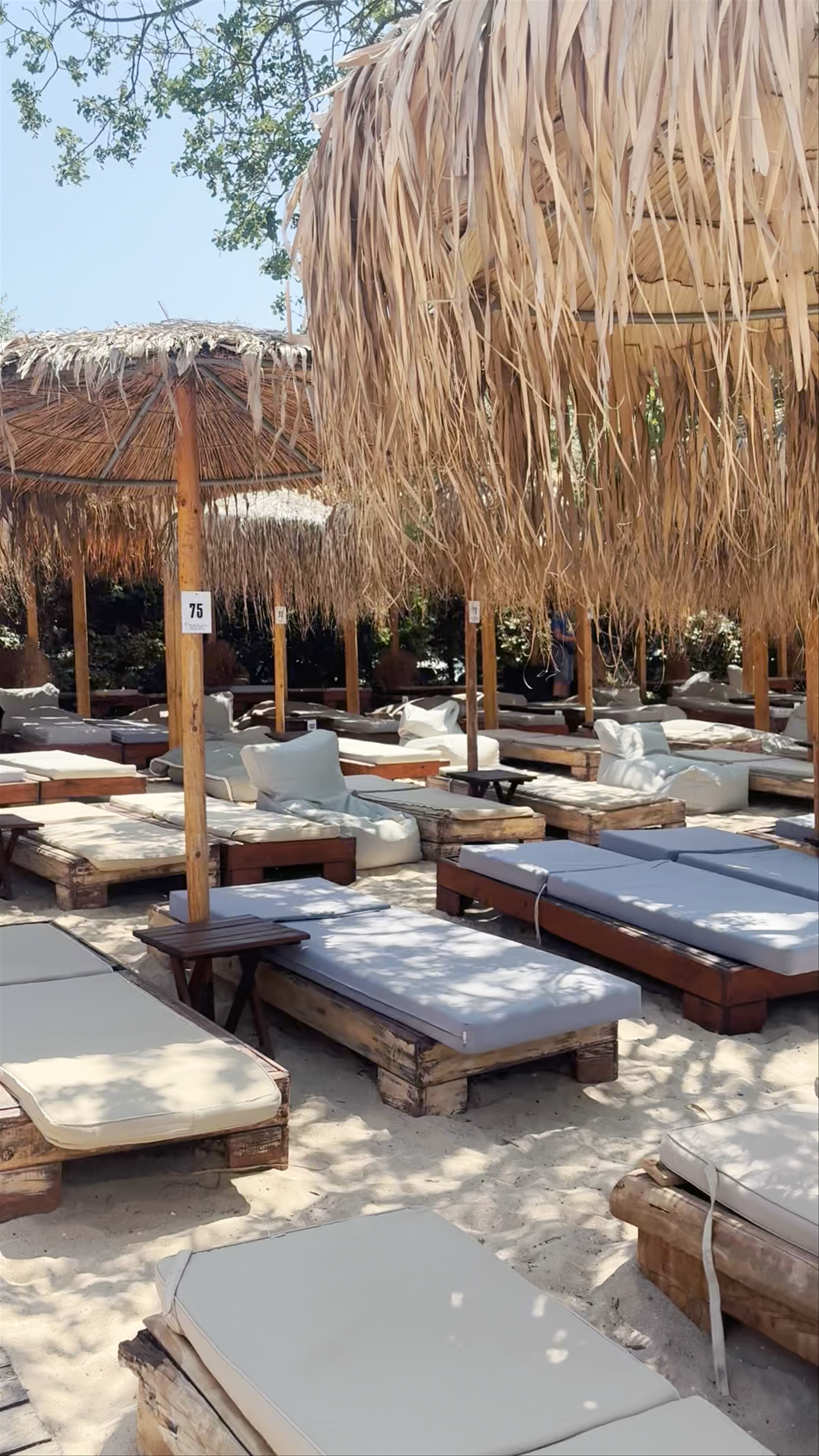 Pachis Beach Bar: Sun-Kissed Serenity on Thasos Island