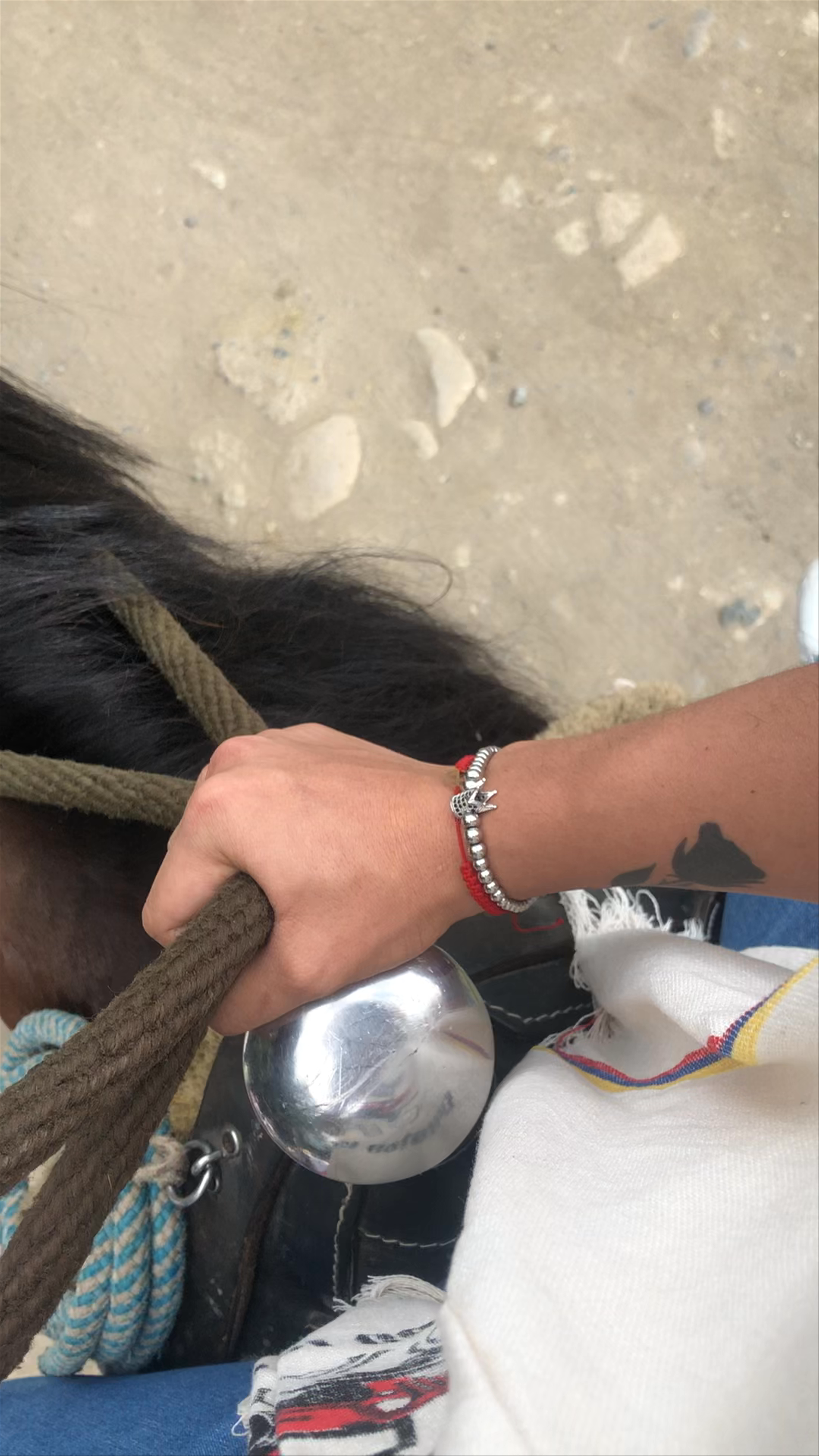 Horseback Ride Through Valle del Cocora - Lush Colombian Highlands Adventure