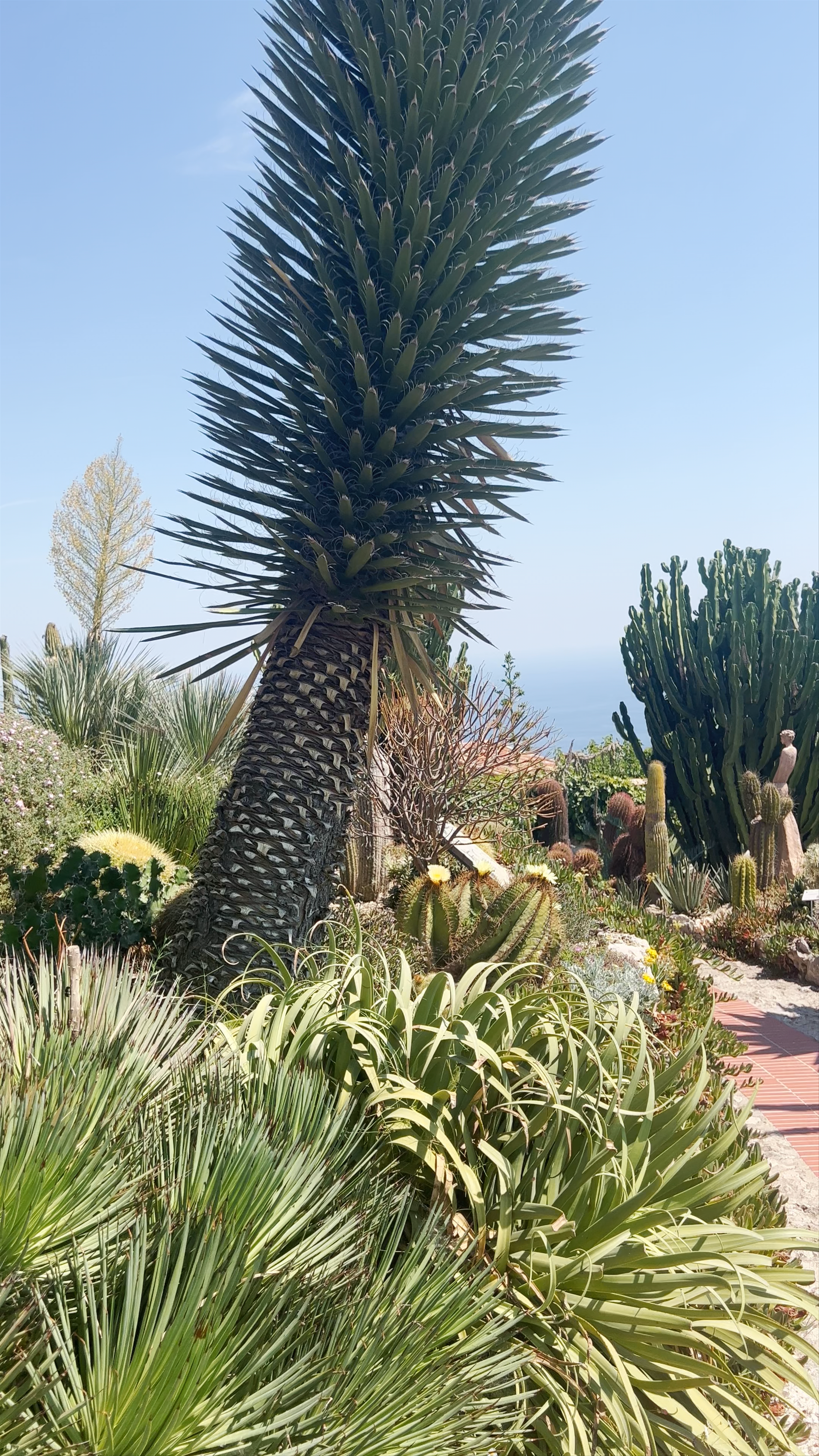 Le Jardin Exotique