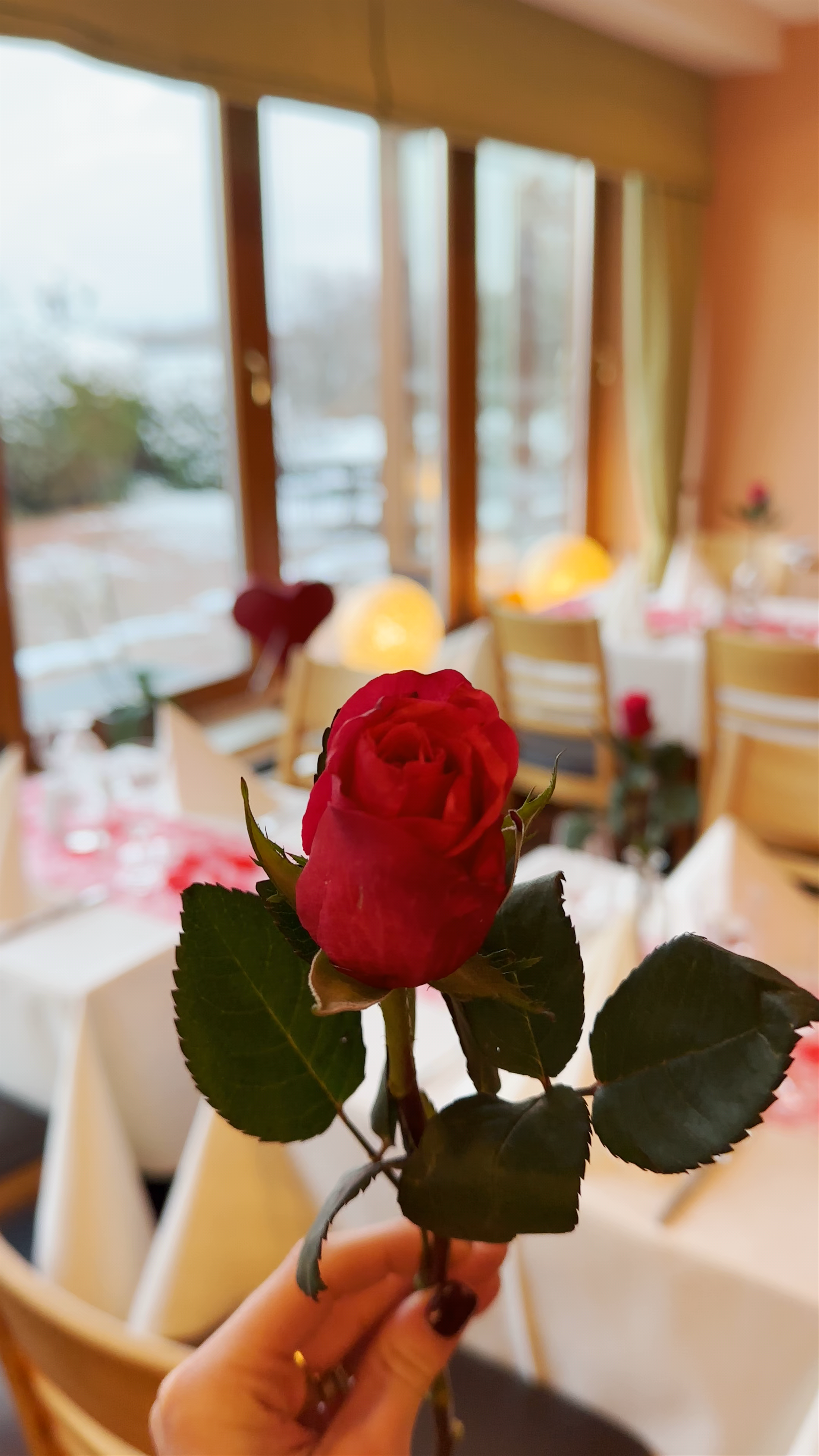 Landhotel Dresden