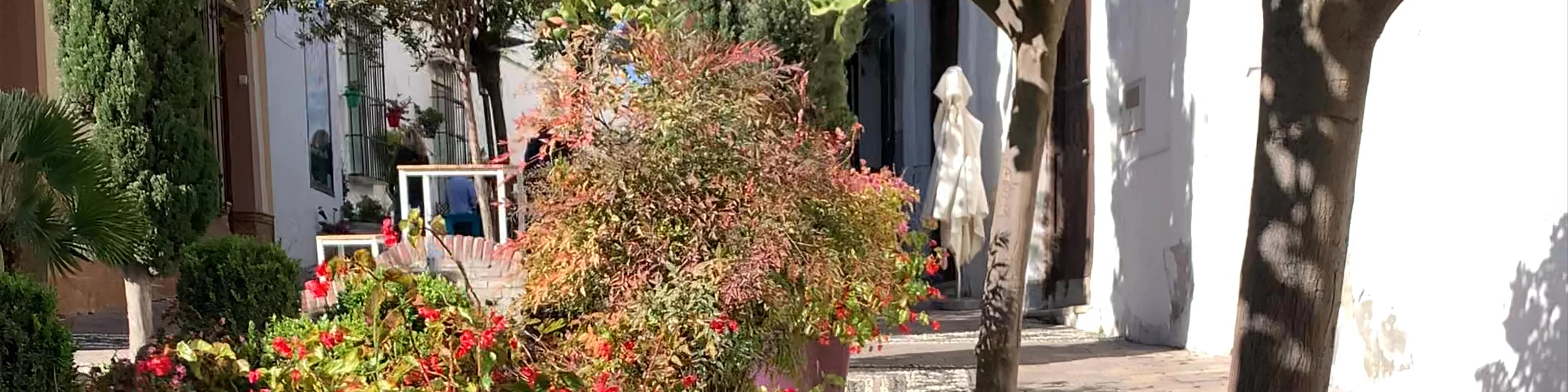 Fuentes de Estepona