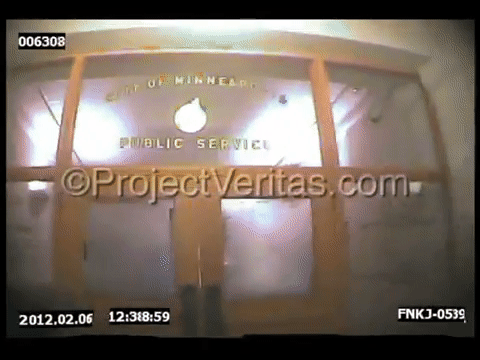 Video Thumbnail Loop