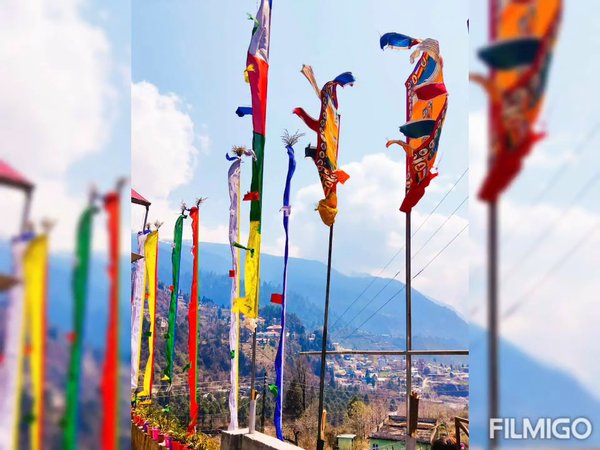 Photo of A self written poem 