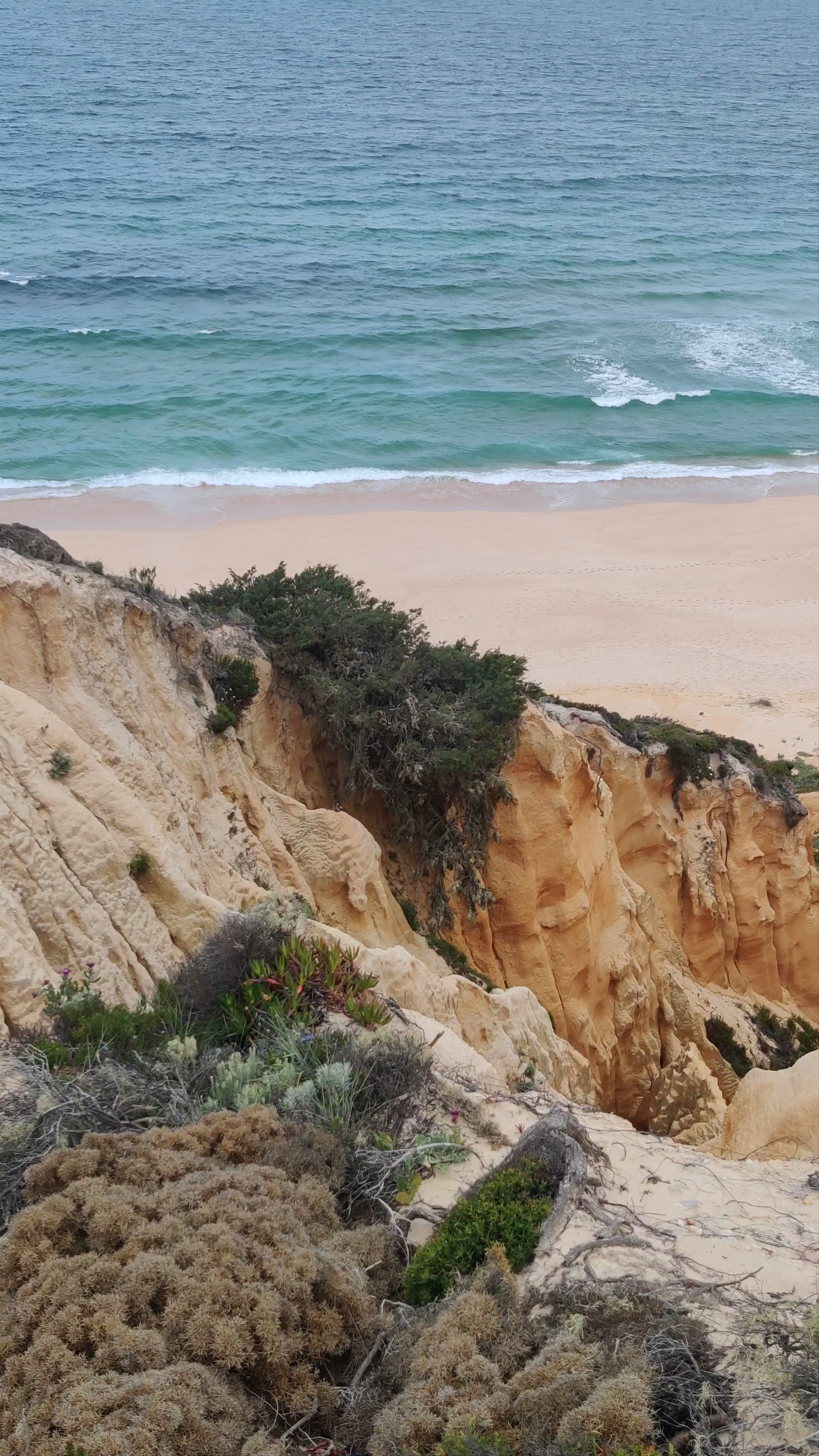 Arriba Fóssil da Galé