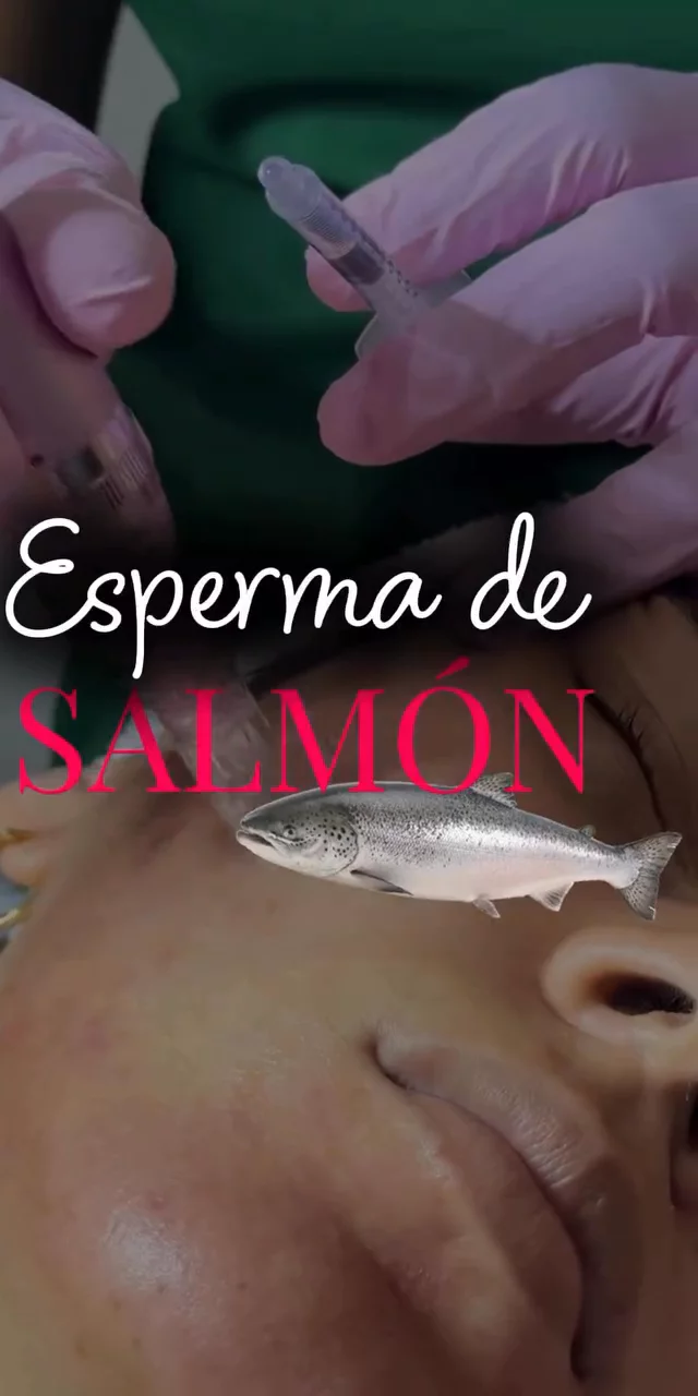Contenido del creador