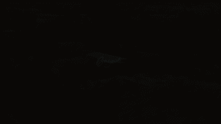 The Urgency of Wisdom