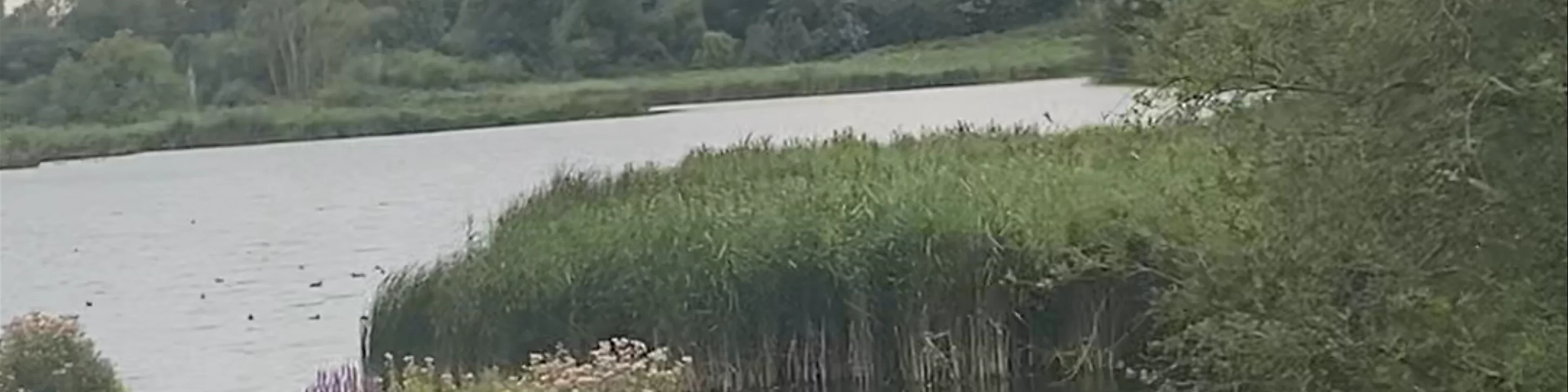 Seventy Acres Lake